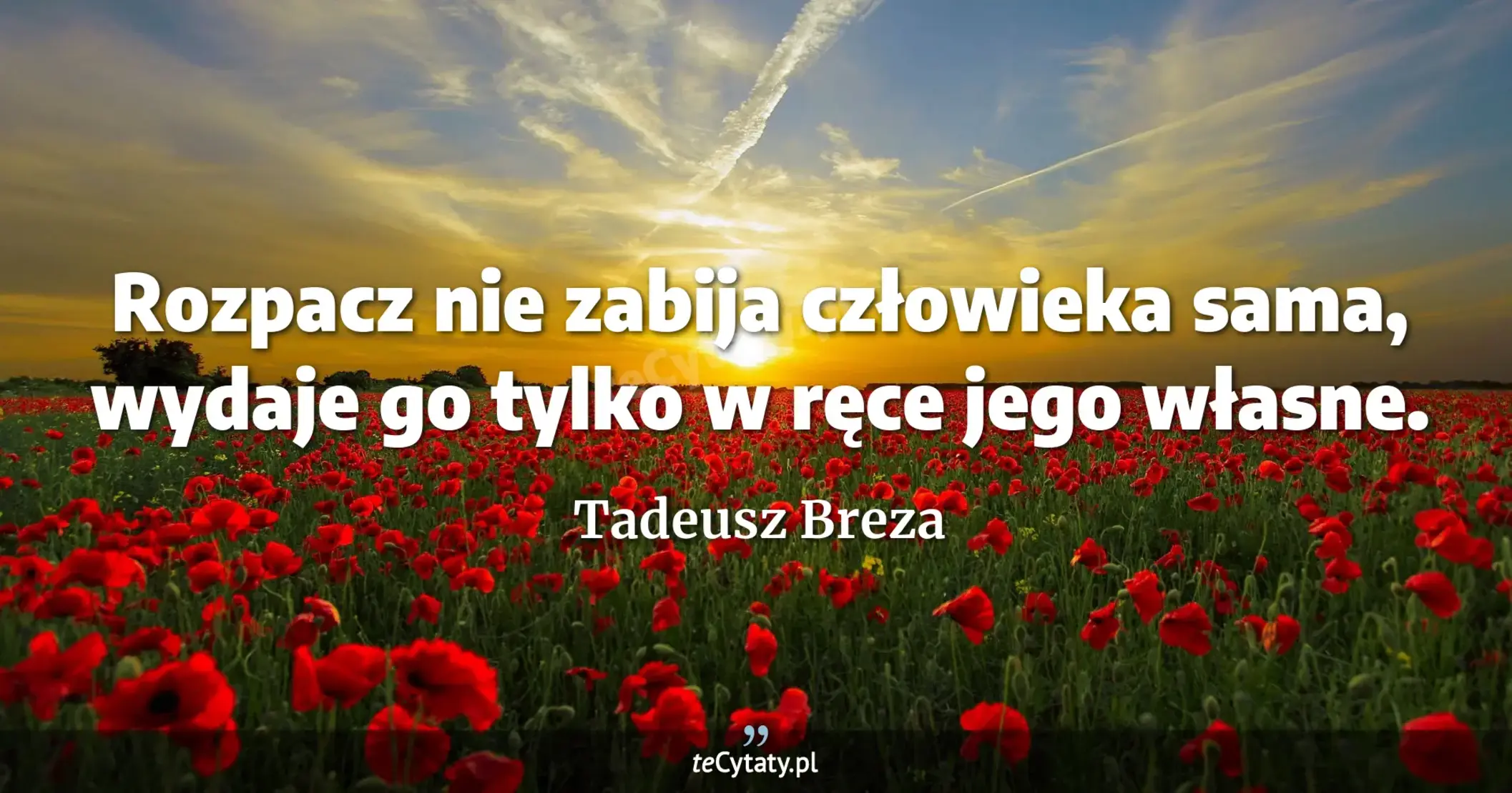 Rozpacz nie zabija człowieka sama, wydaje go tylko w ręce jego własne. - Tadeusz Breza