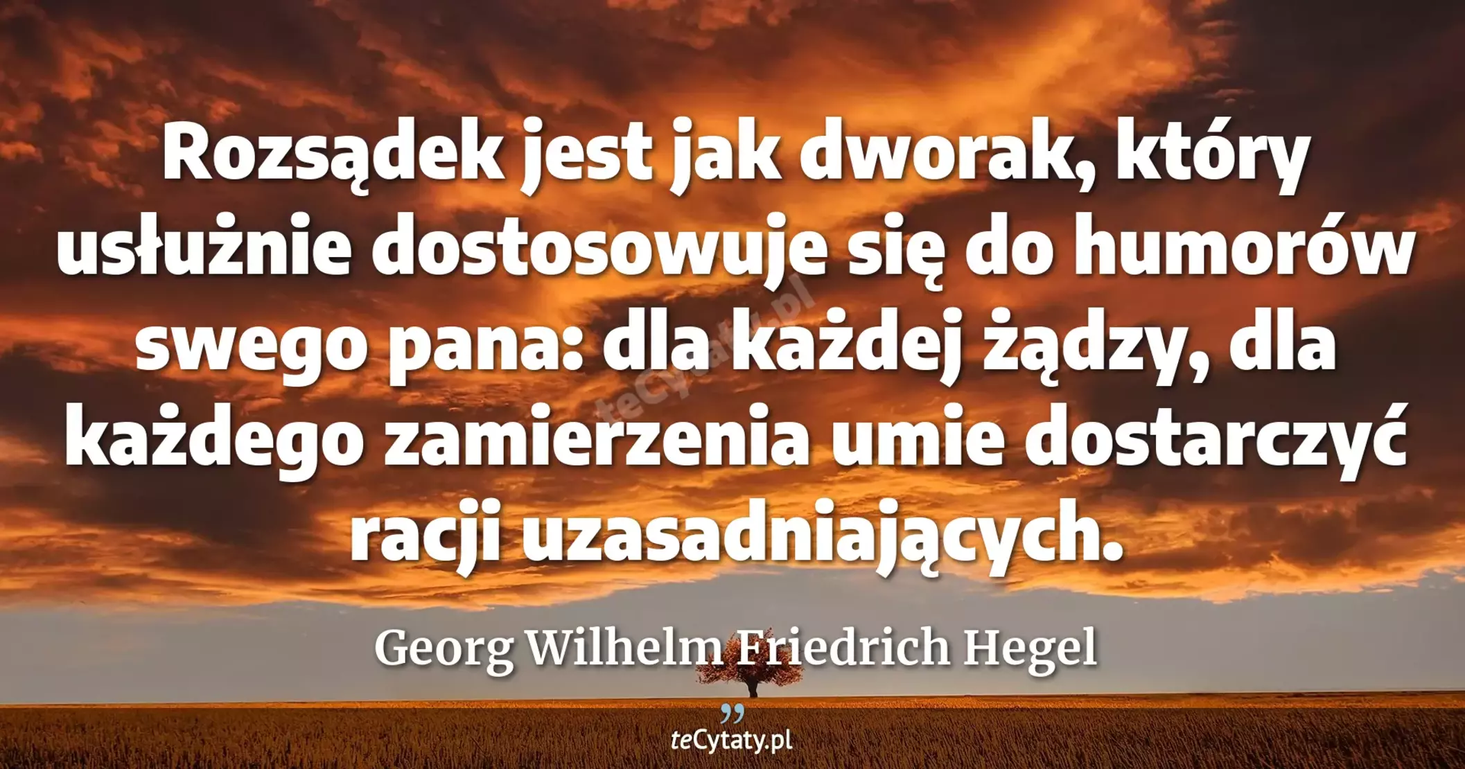 Rozsądek jest jak dworak, który usłużnie dostosowuje się do humorów swego pana: dla każdej żądzy, dla każdego zamierzenia umie dostarczyć racji uzasadniających. - Georg Wilhelm Friedrich Hegel