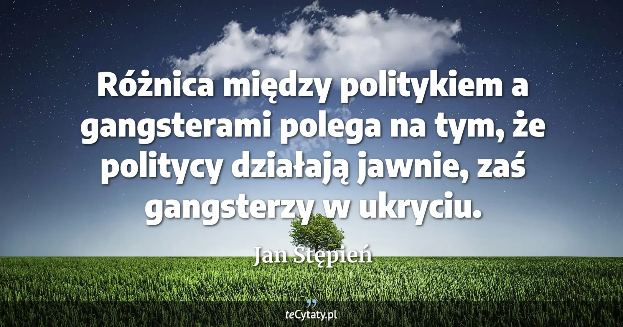 Różnica między politykiem a gangsterami polega na tym, że politycy działają jawnie, zaś gangsterzy w ukryciu. - Jan Stępień