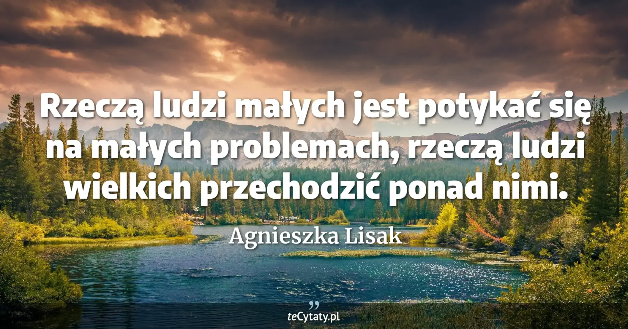Rzeczą ludzi małych jest potykać się na małych problemach, rzeczą ludzi wielkich przechodzić ponad nimi. - Agnieszka Lisak