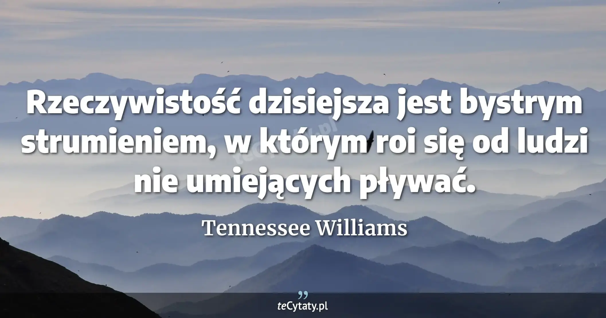 Rzeczywistość dzisiejsza jest bystrym strumieniem, w którym roi się od ludzi nie umiejących pływać. - Tennessee Williams