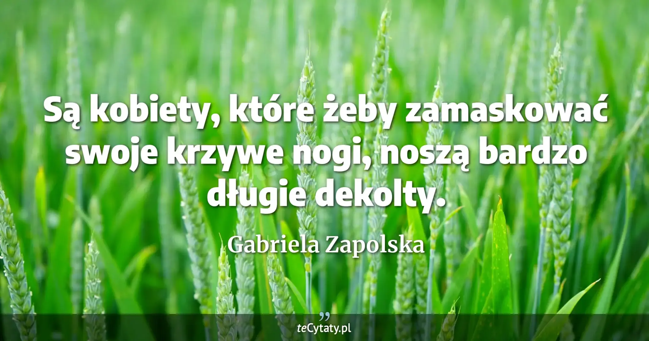 Są kobiety, które żeby zamaskować swoje krzywe nogi, noszą bardzo długie dekolty. - Gabriela Zapolska