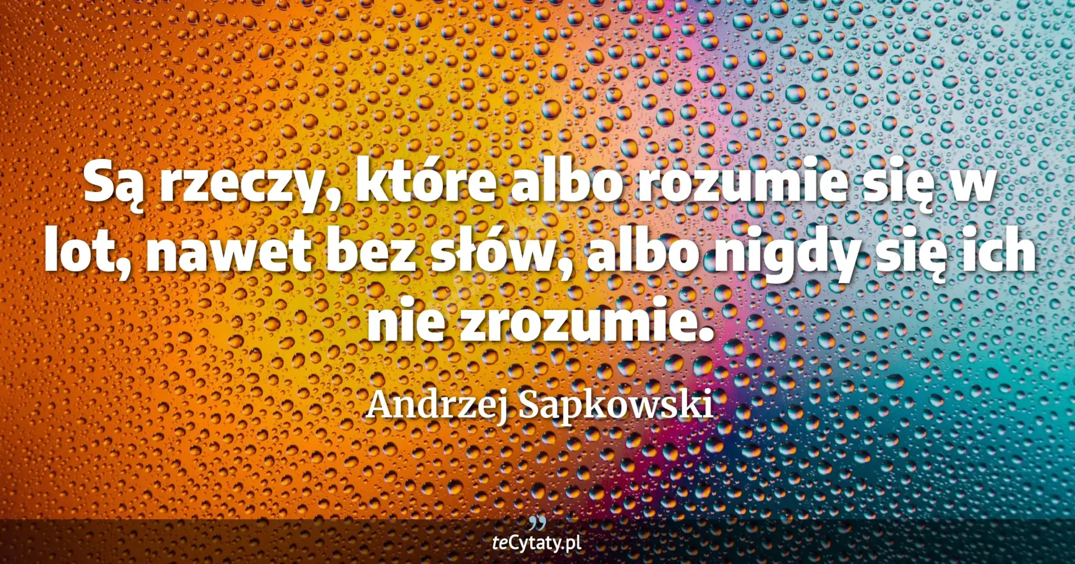 Są rzeczy, które albo rozumie się w lot, nawet bez słów, albo nigdy się ich nie zrozumie. - Andrzej Sapkowski