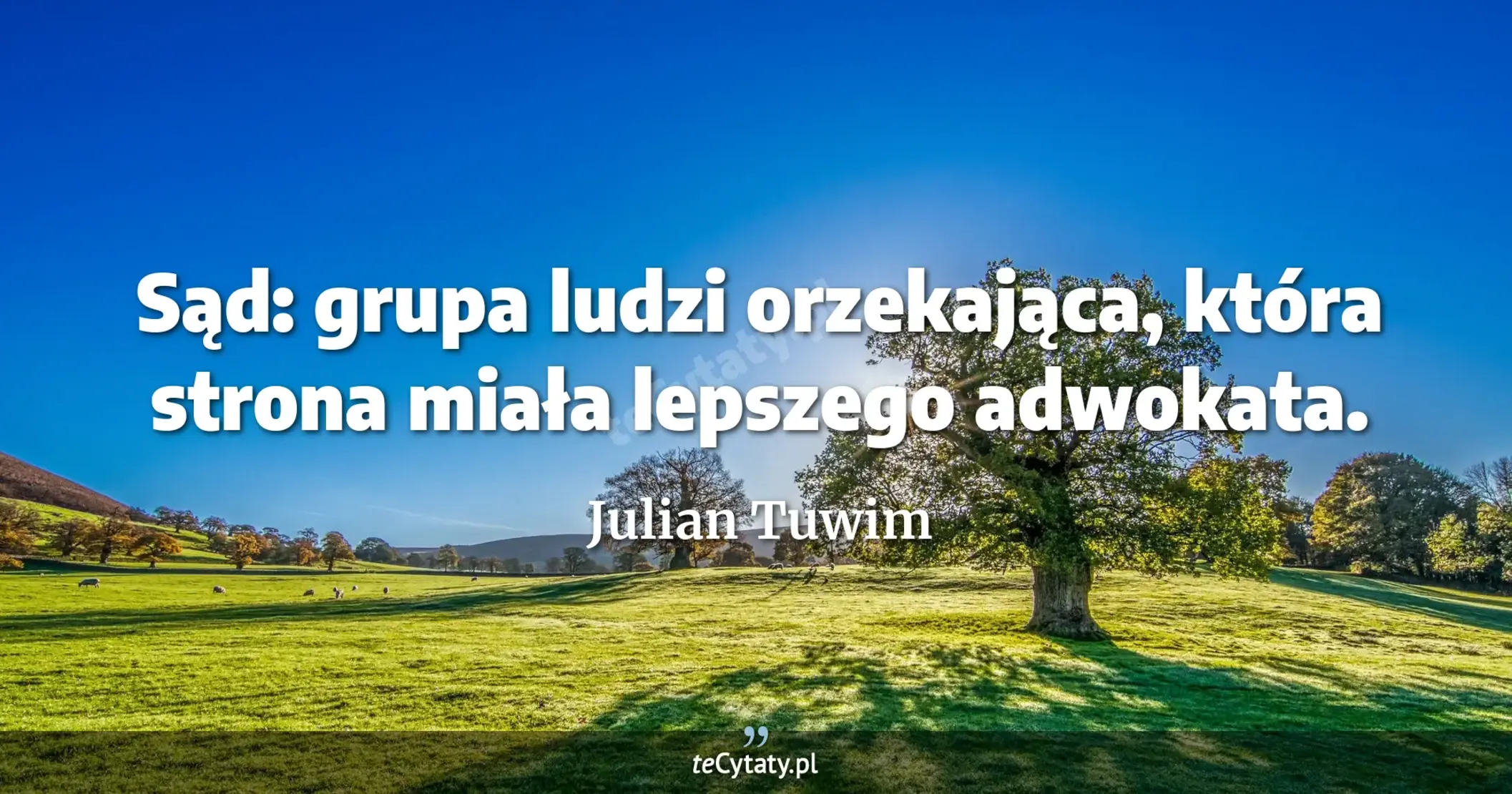 Sąd: grupa ludzi orzekająca, która strona miała lepszego adwokata. - Julian Tuwim