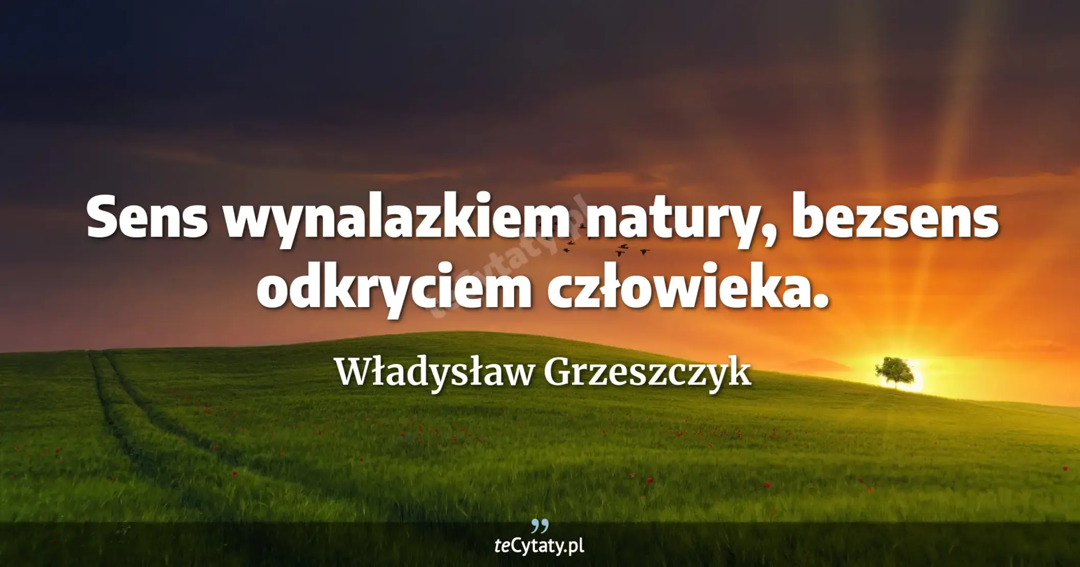 Sens wynalazkiem natury, bezsens odkryciem człowieka. - Władysław Grzeszczyk