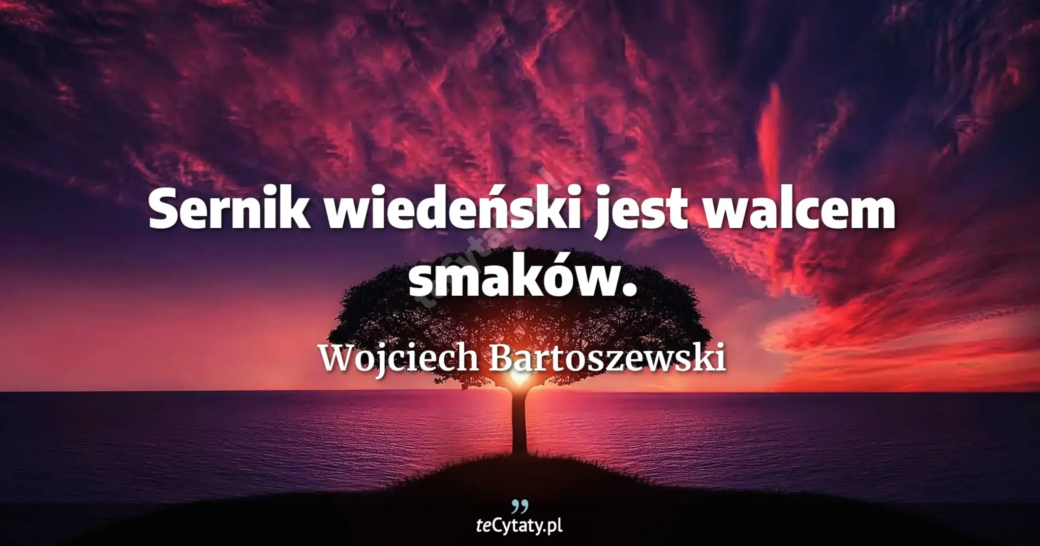 Sernik wiedeński jest walcem smaków. - Wojciech Bartoszewski