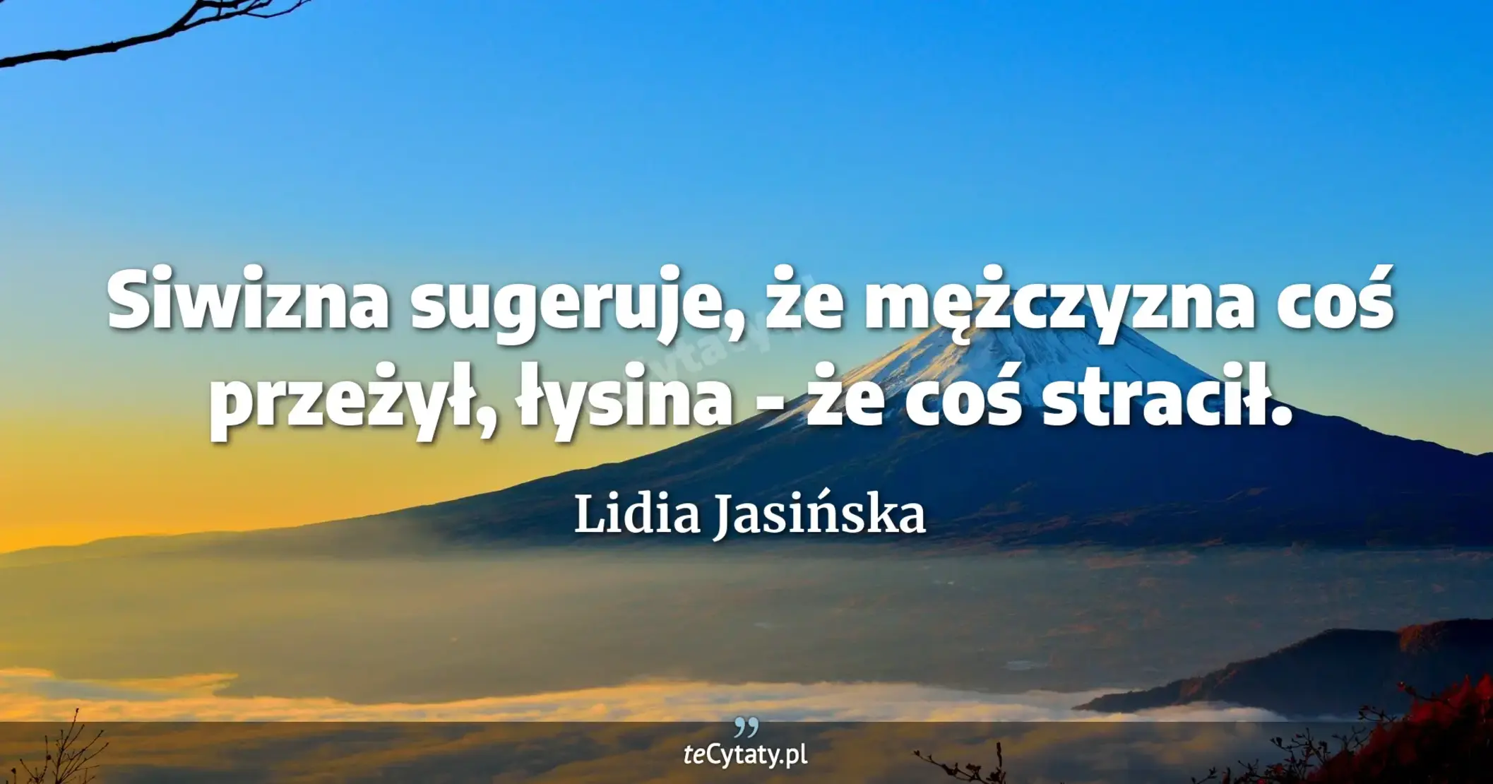 Siwizna sugeruje, że mężczyzna coś przeżył, łysina - że coś stracił. - Lidia Jasińska