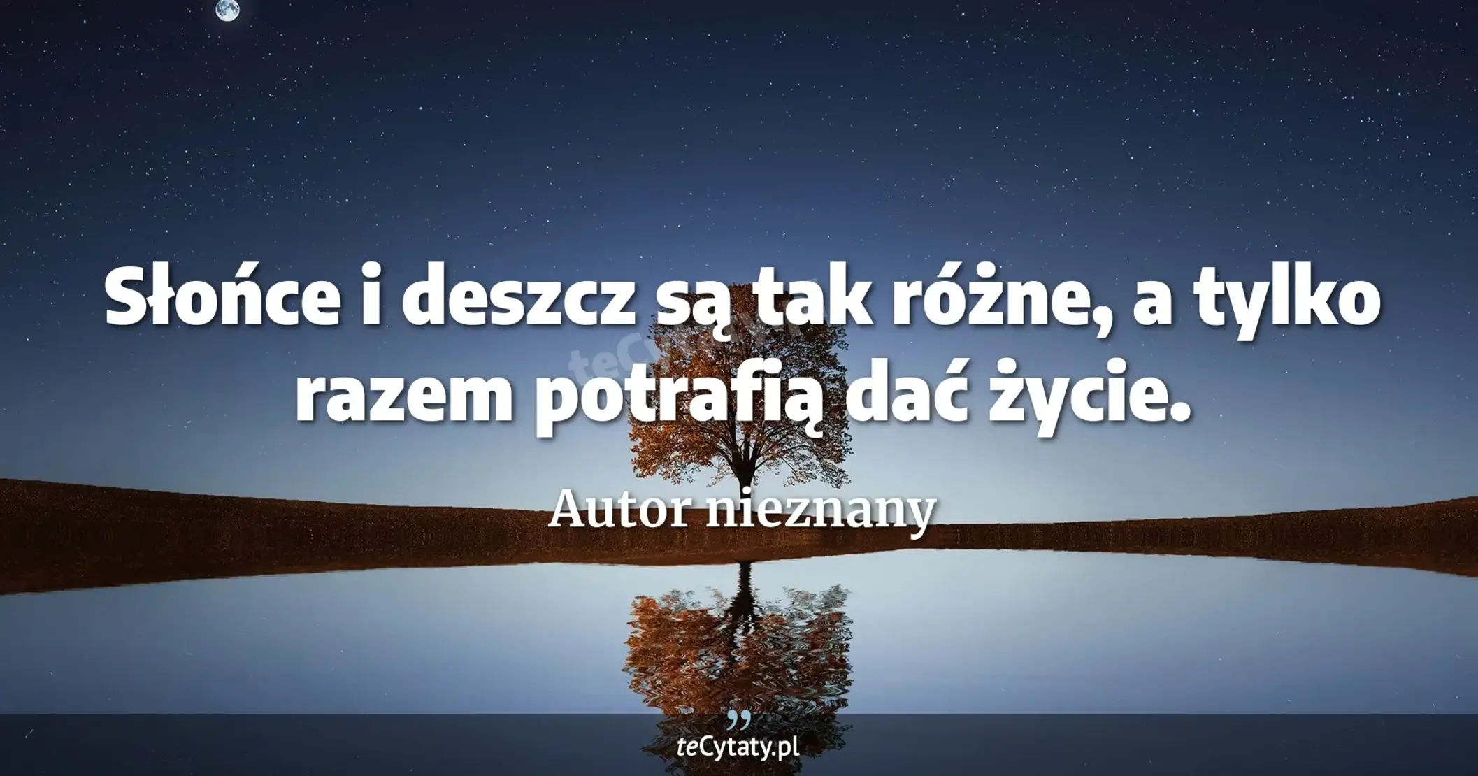 Słońce i deszcz są tak różne, a tylko razem potrafią dać życie. - Autor nieznany