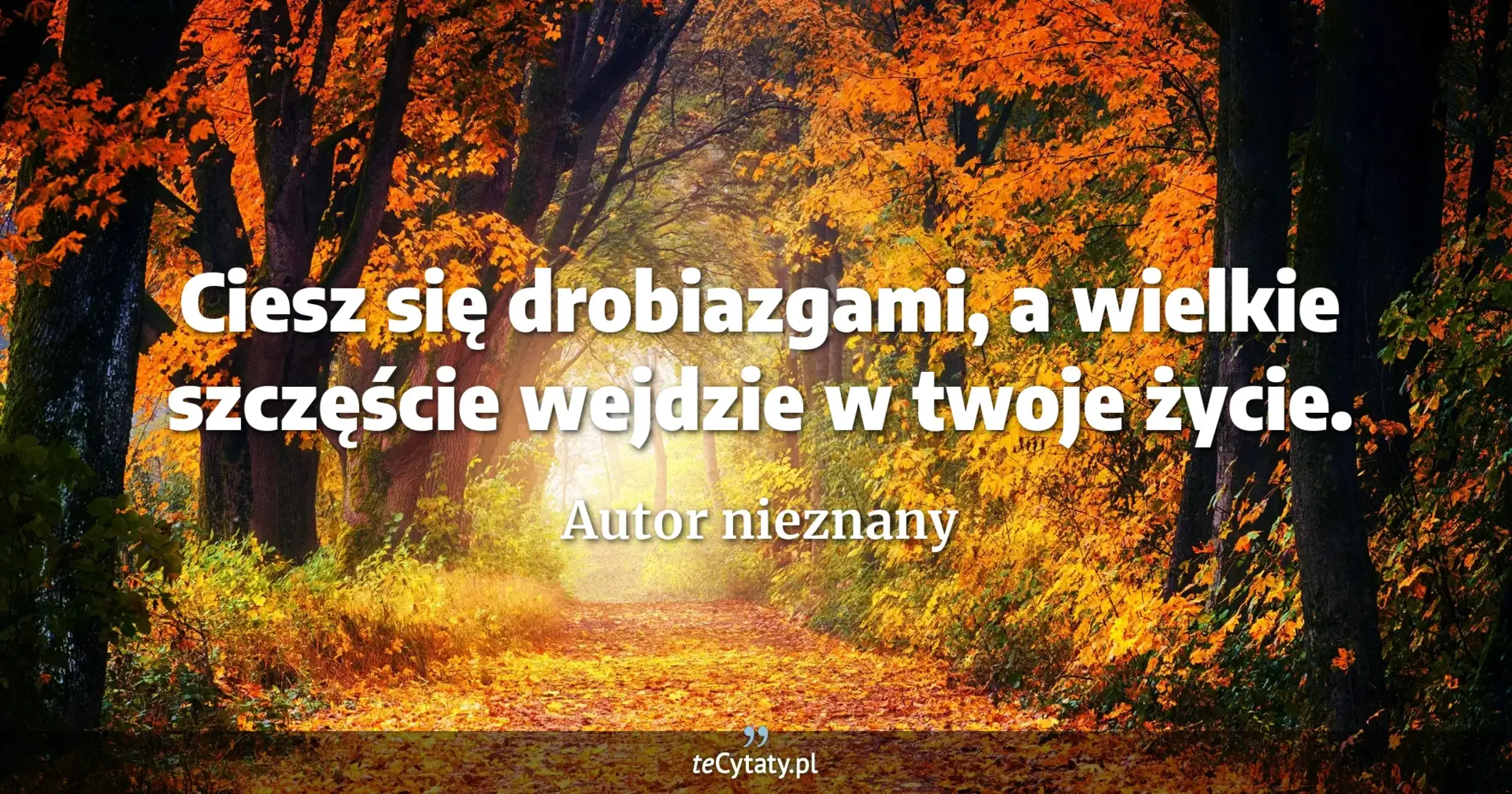 Ciesz się drobiazgami, a wielkie szczęście wejdzie w twoje życie. - Autor nieznany