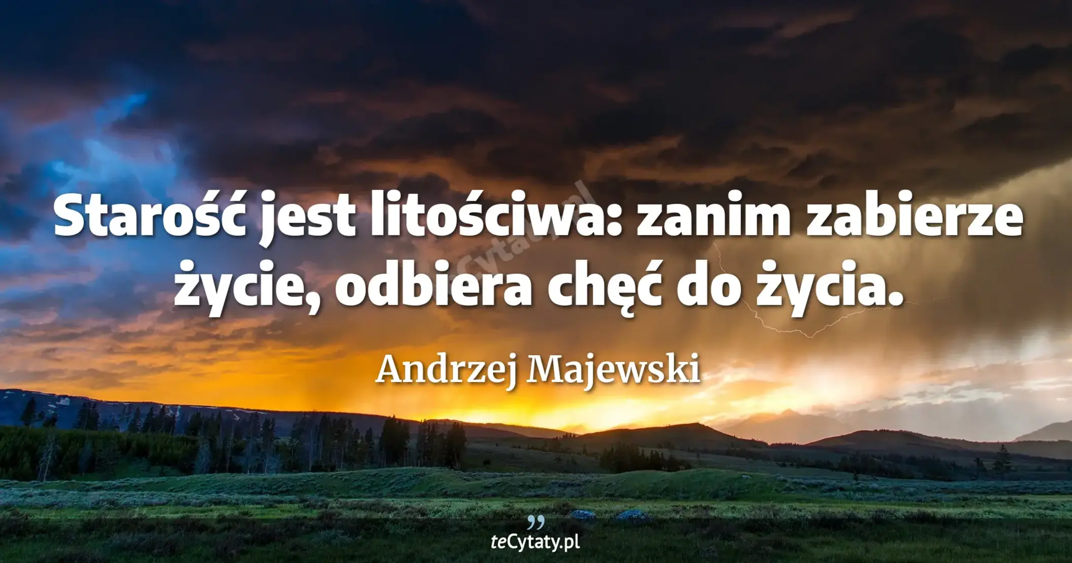 Starość jest litościwa: zanim zabierze życie, odbiera chęć do życia. - Andrzej Majewski