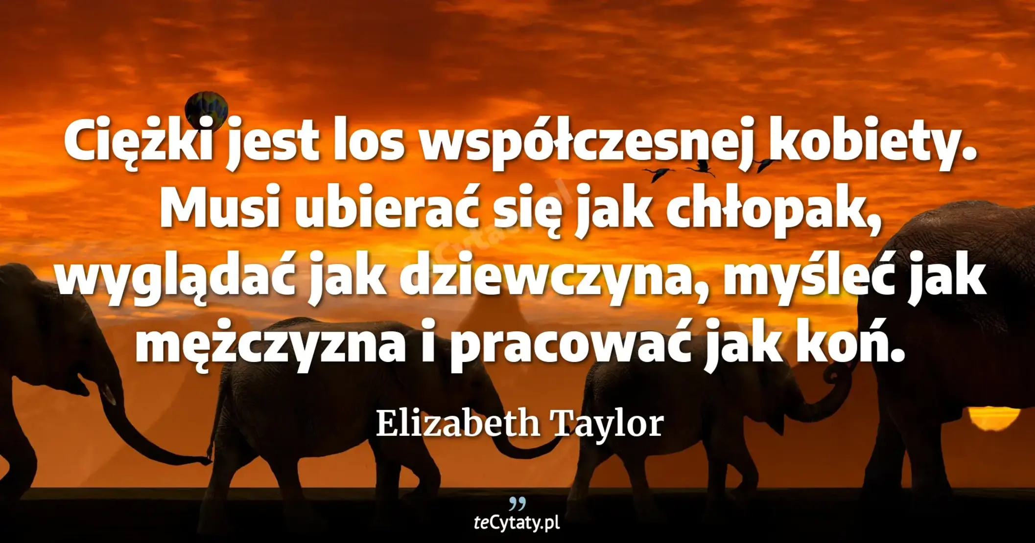 Ciężki jest los współczesnej kobiety. Musi ubierać się jak chłopak, wyglądać jak dziewczyna, myśleć jak mężczyzna i pracować jak koń. - Elizabeth Taylor