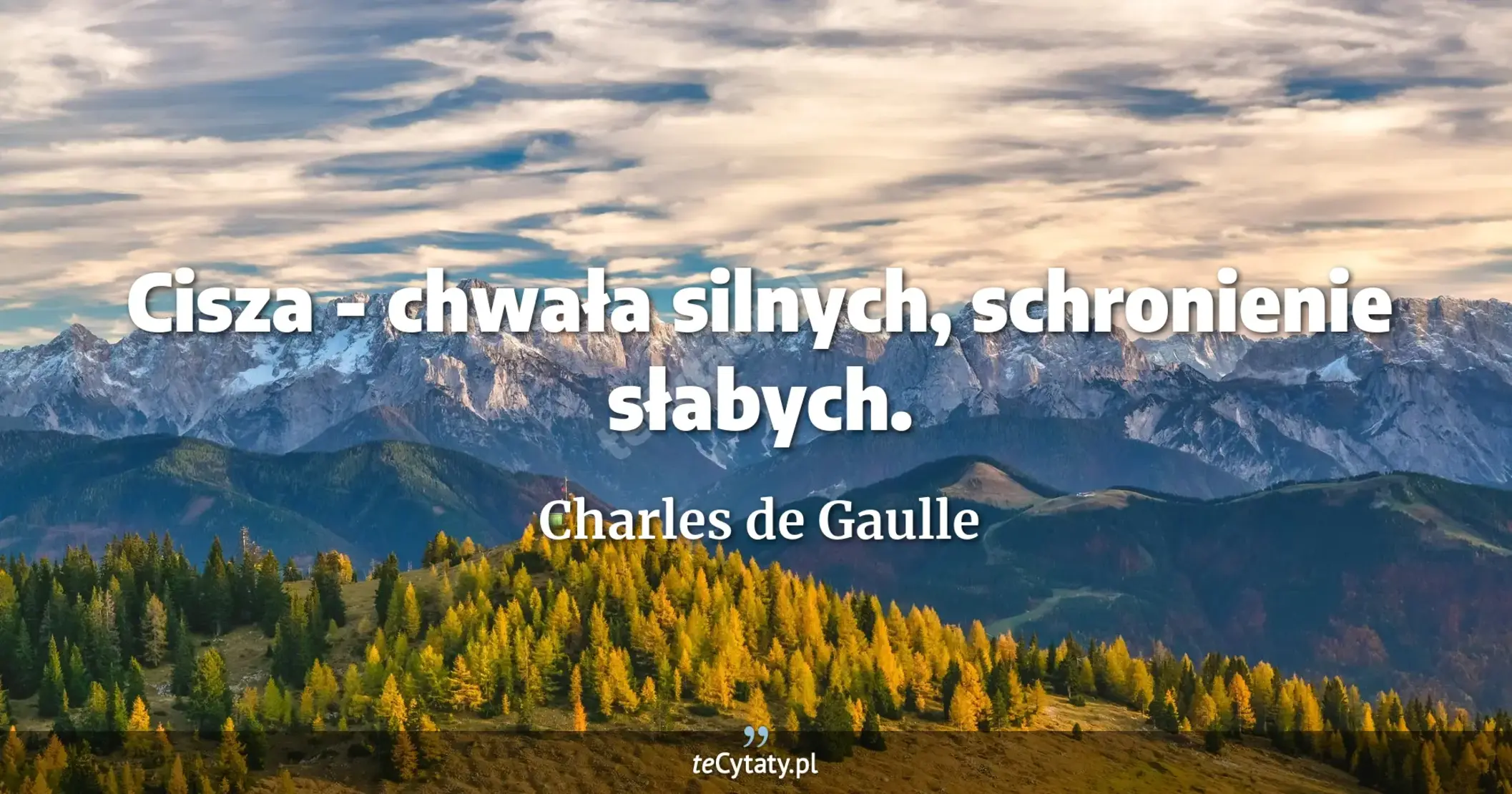 Cisza - chwała silnych, schronienie słabych. - Charles de Gaulle