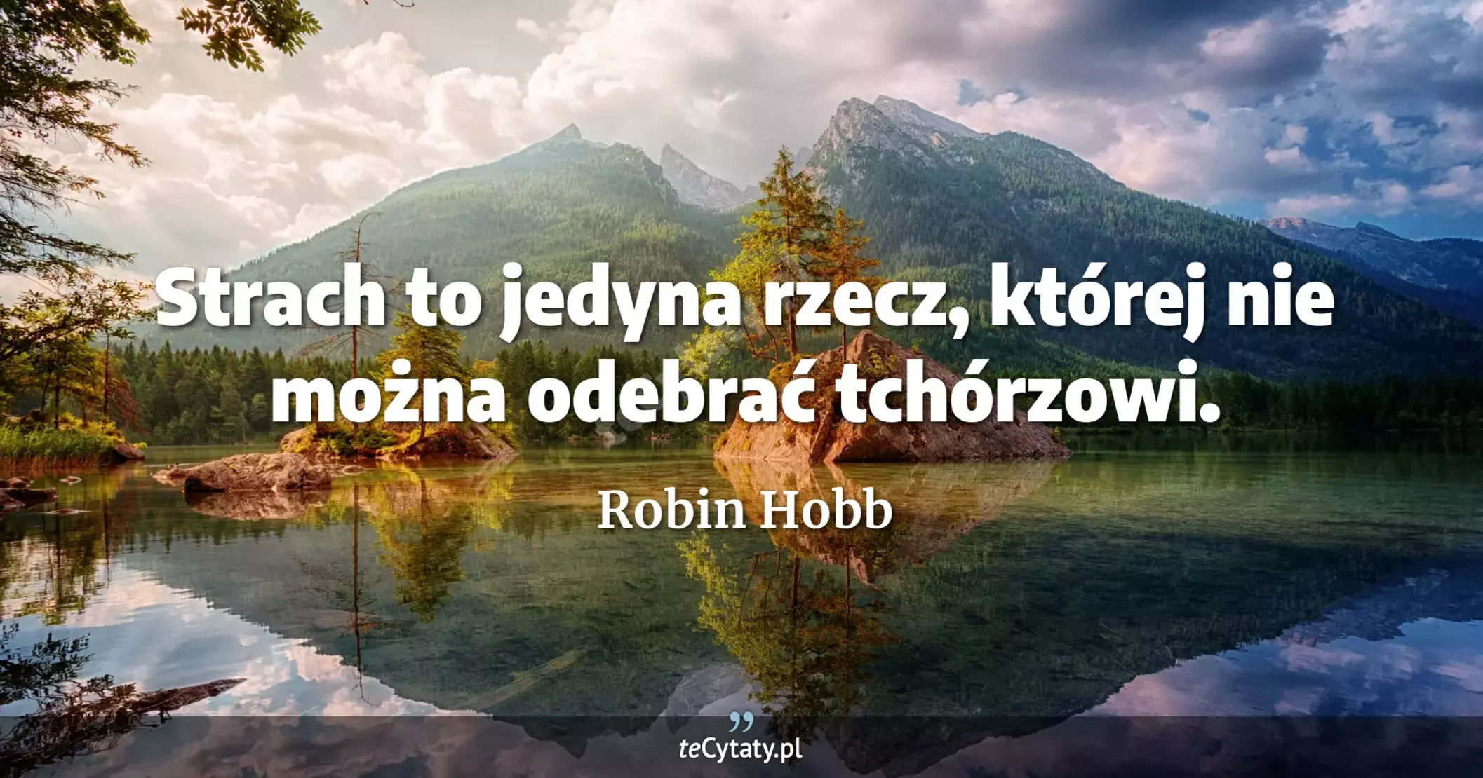 Strach to jedyna rzecz, której nie można odebrać tchórzowi. - Robin Hobb