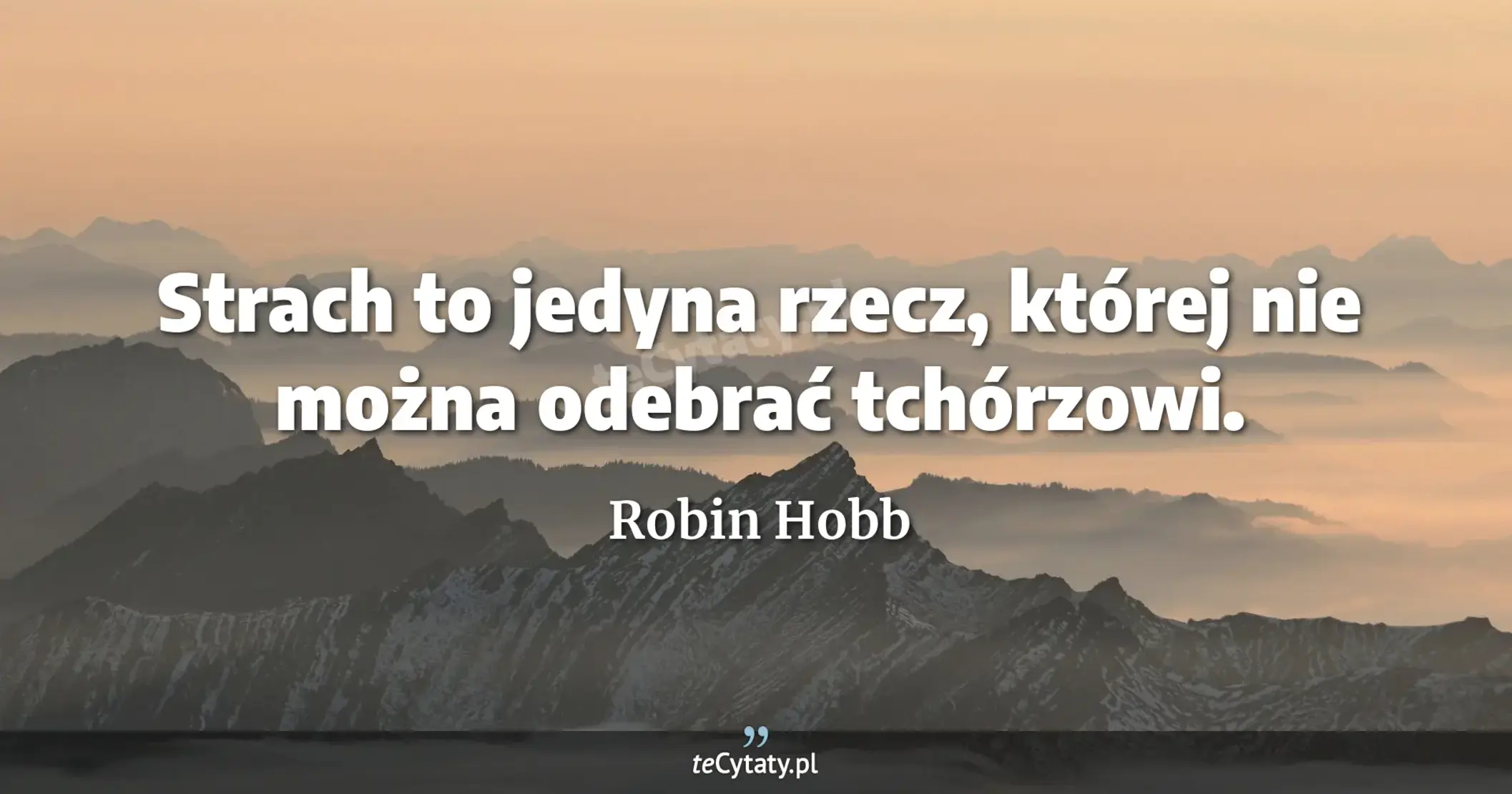 Strach to jedyna rzecz, której nie można odebrać tchórzowi. - Robin Hobb