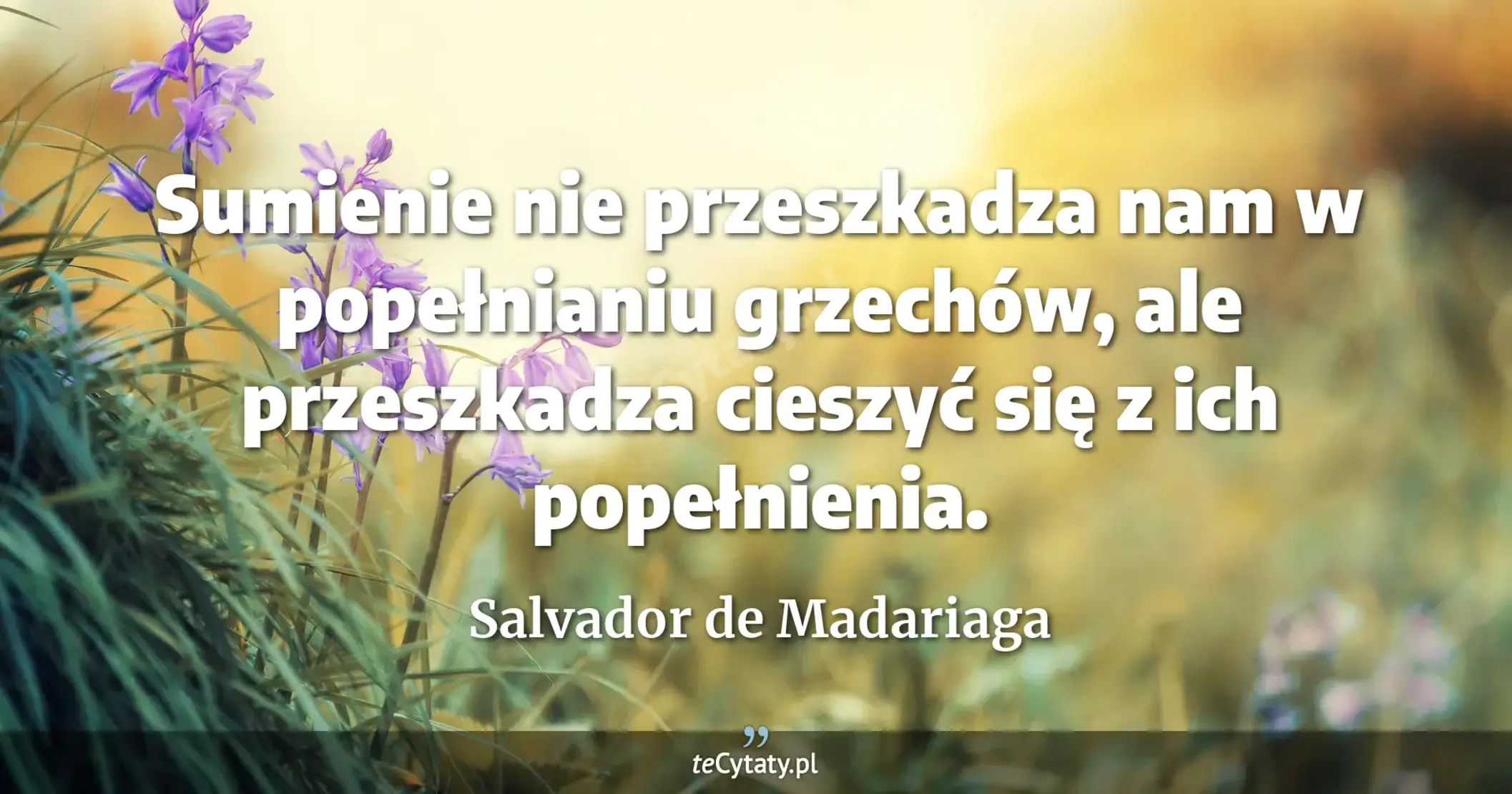 Sumienie nie przeszkadza nam w popełnianiu grzechów, ale przeszkadza cieszyć się z ich popełnienia. - Salvador de Madariaga