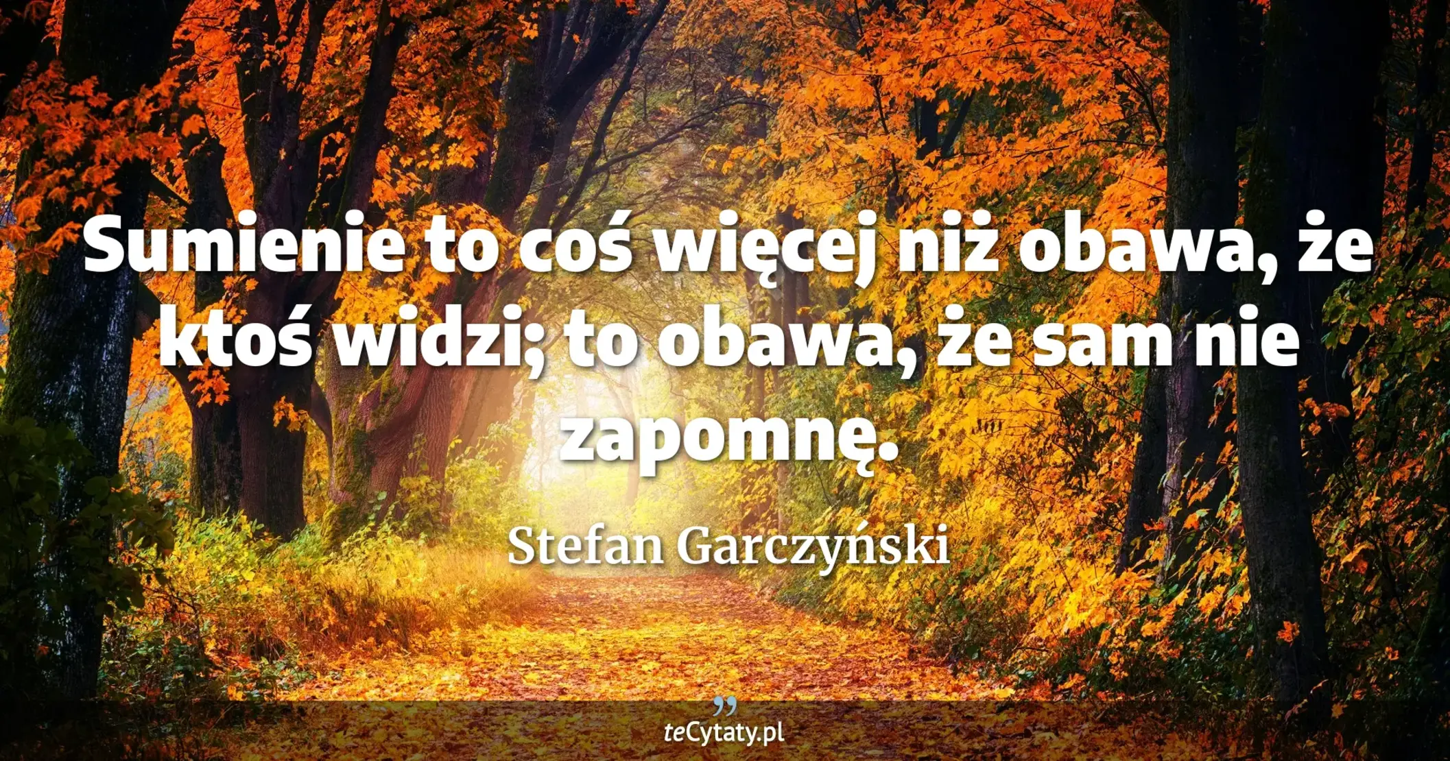 Sumienie to coś więcej niż obawa, że ktoś widzi; to obawa, że sam nie zapomnę. - Stefan Garczyński