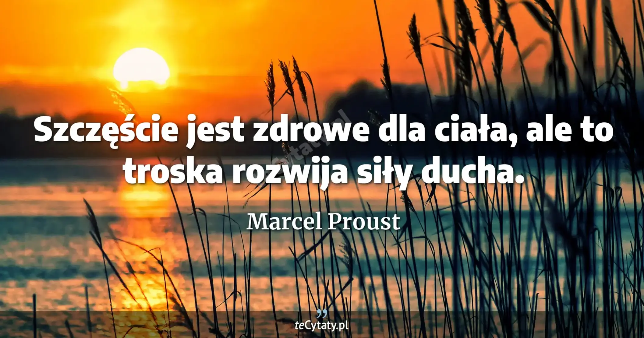 Szczęście jest zdrowe dla ciała, ale to troska rozwija siły ducha. - Marcel Proust