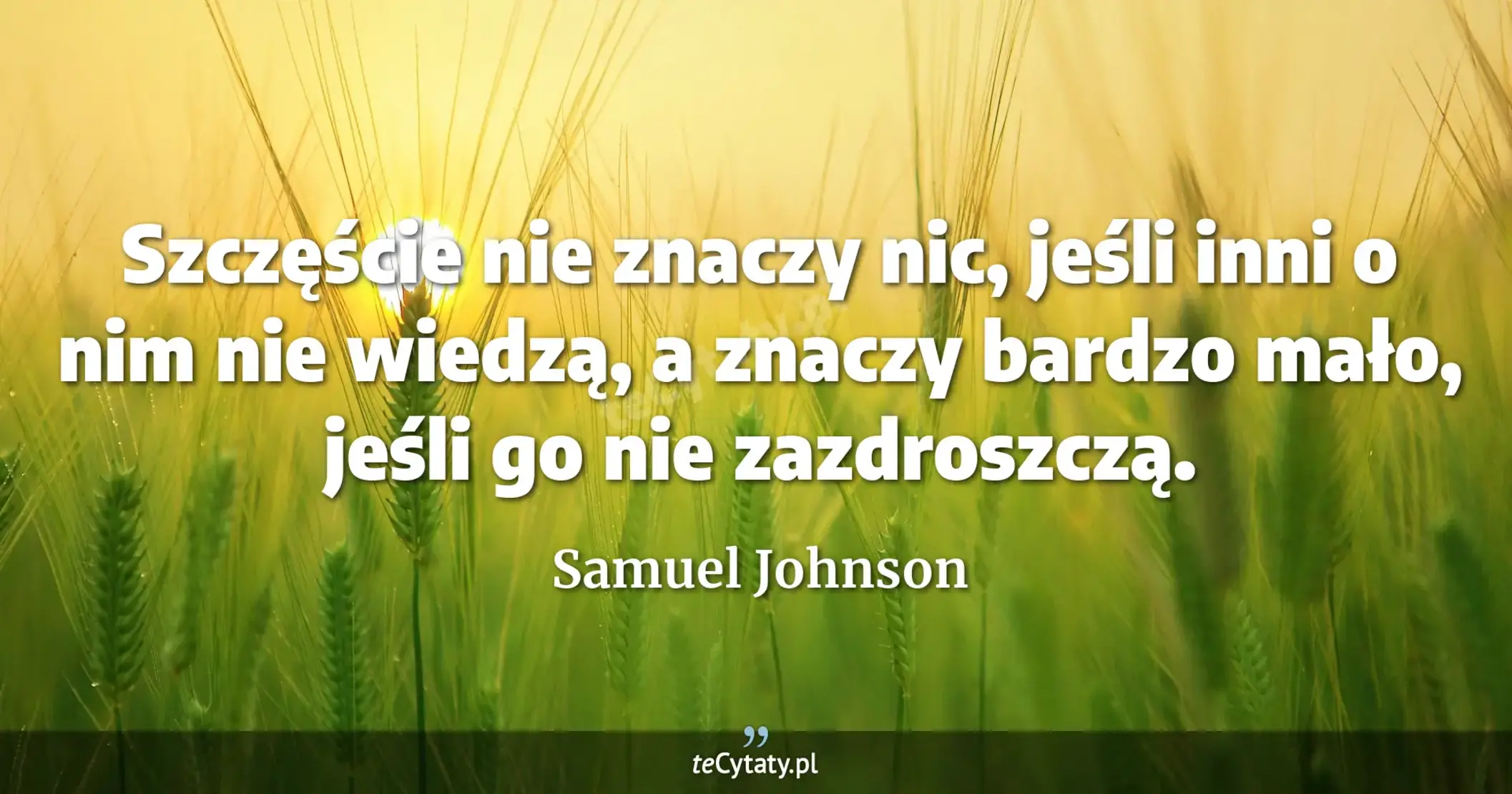 Szczęście nie znaczy nic, jeśli inni o nim nie wiedzą, a znaczy bardzo mało, jeśli go nie zazdroszczą. - Samuel Johnson