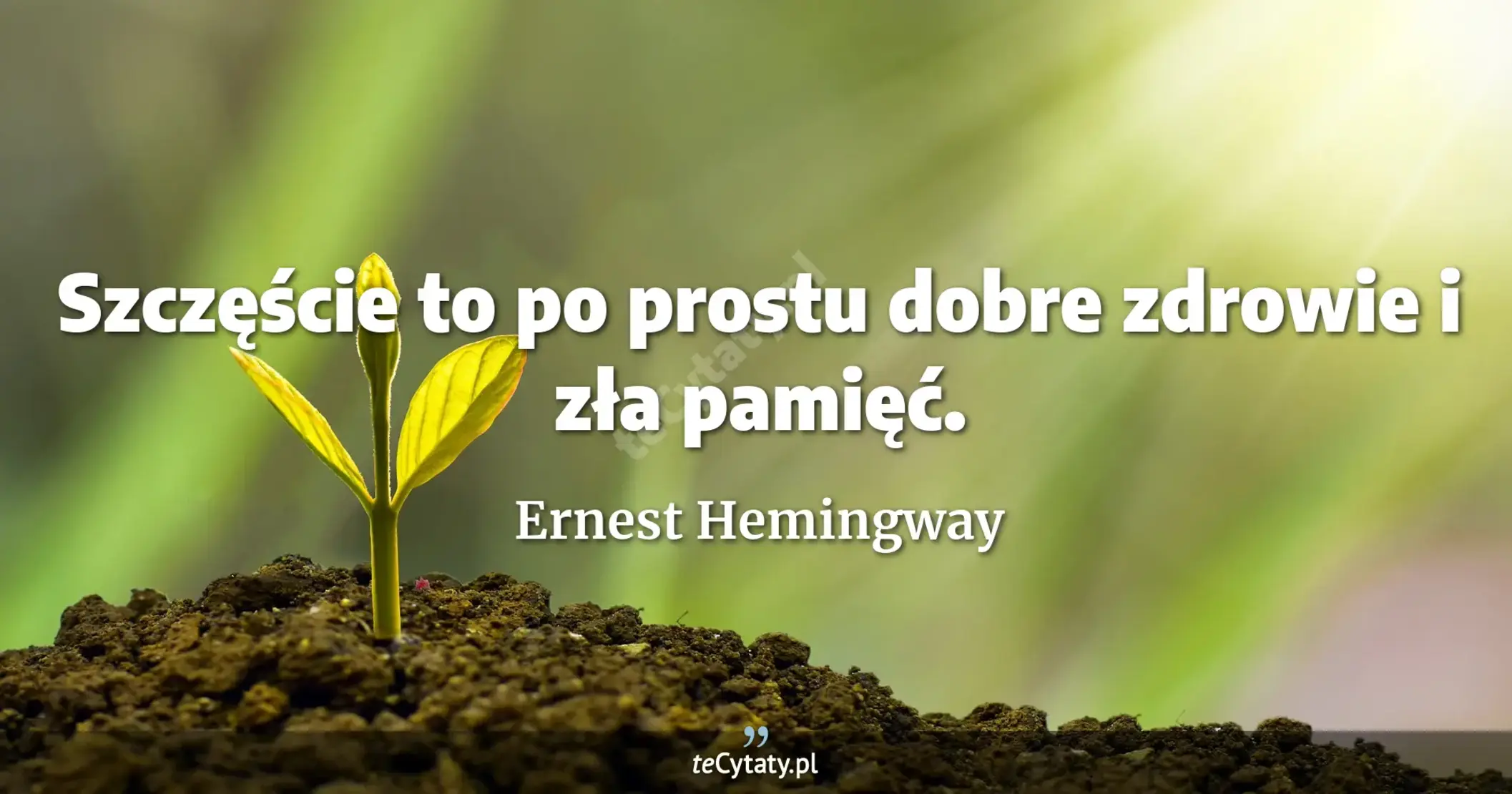 Szczęście to po prostu dobre zdrowie i zła pamięć. - Ernest Hemingway