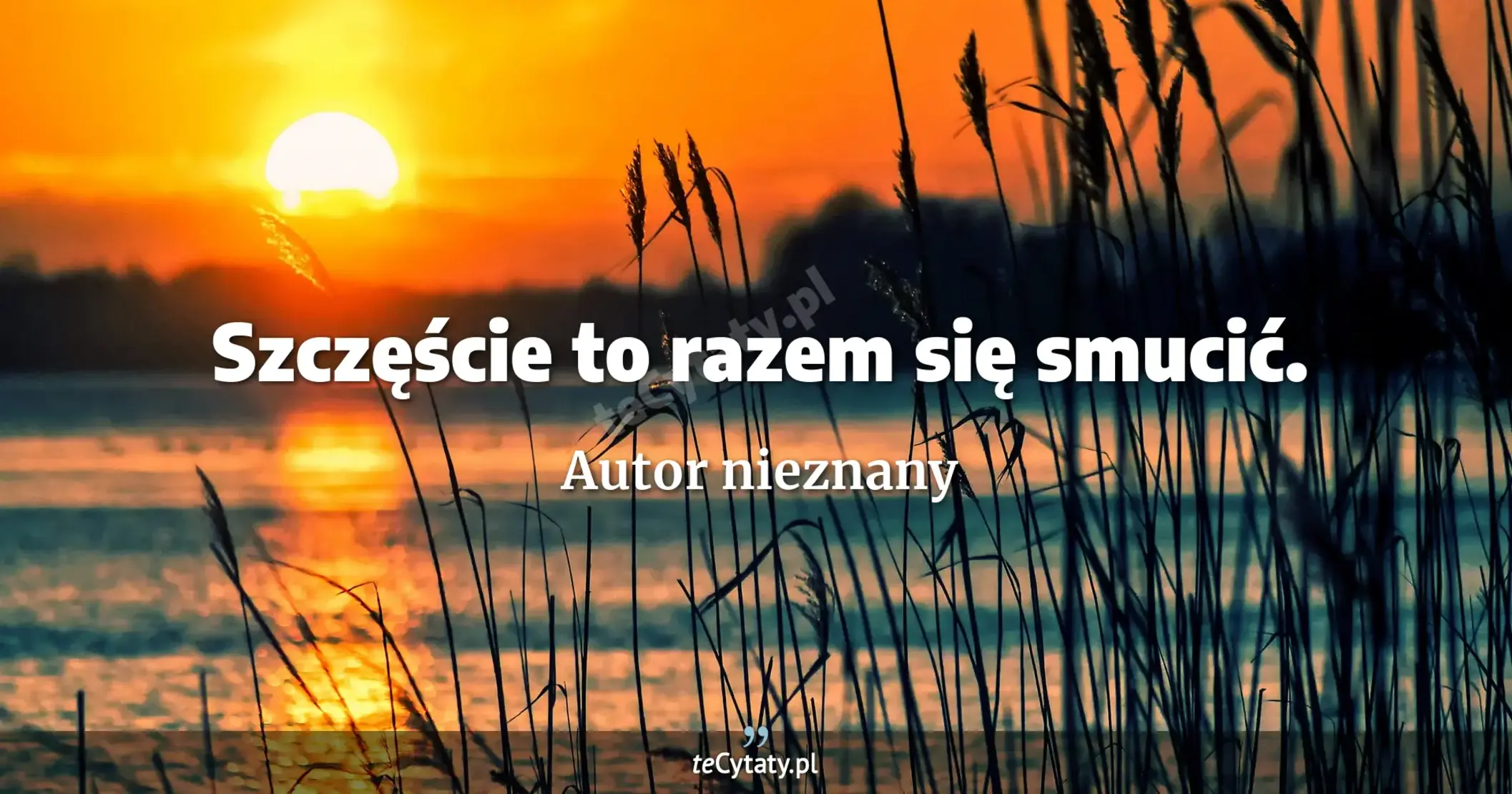 Szczęście to razem się smucić. - Autor nieznany