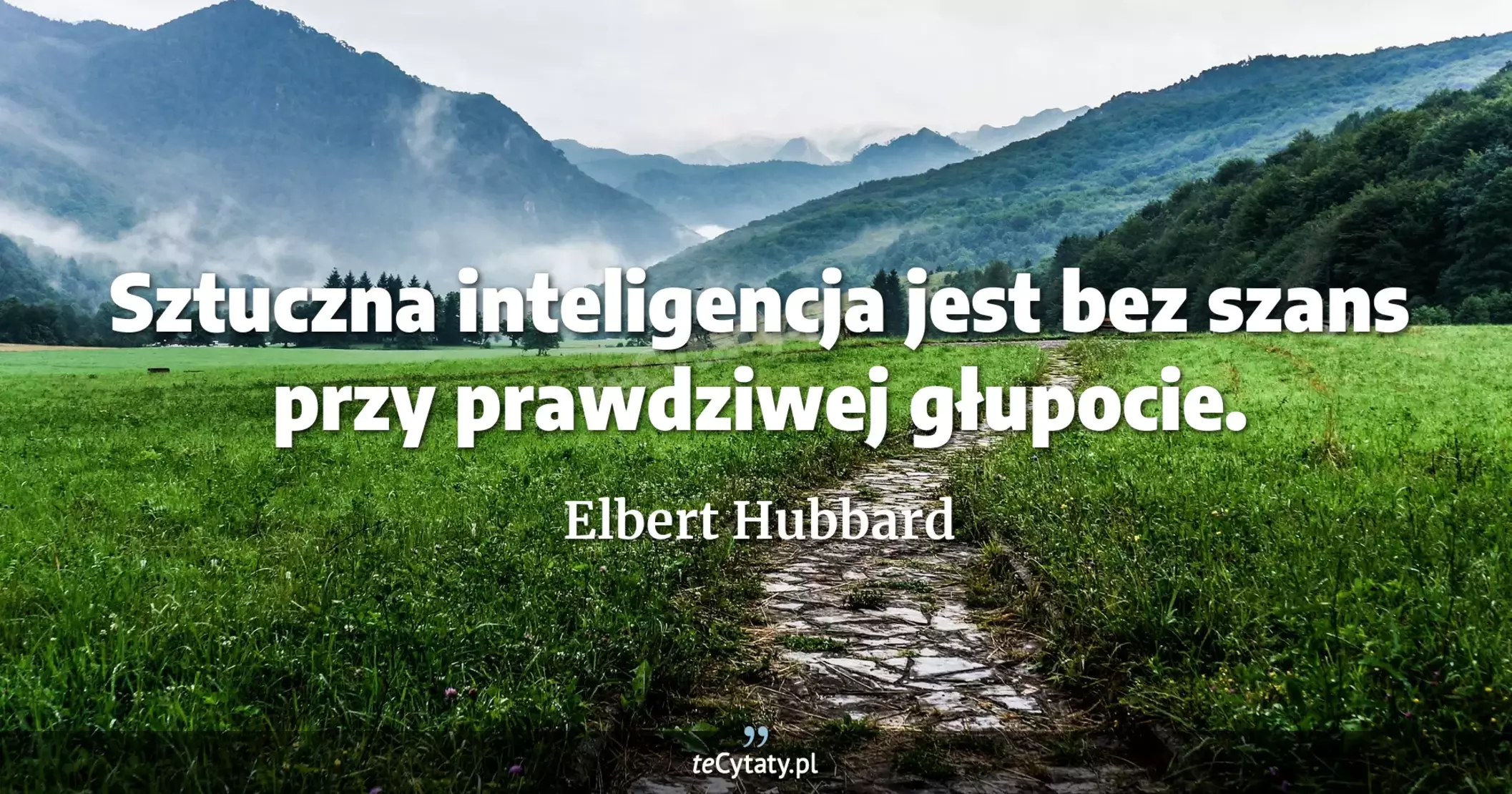 Sztuczna inteligencja jest bez szans przy prawdziwej głupocie. - Elbert Hubbard