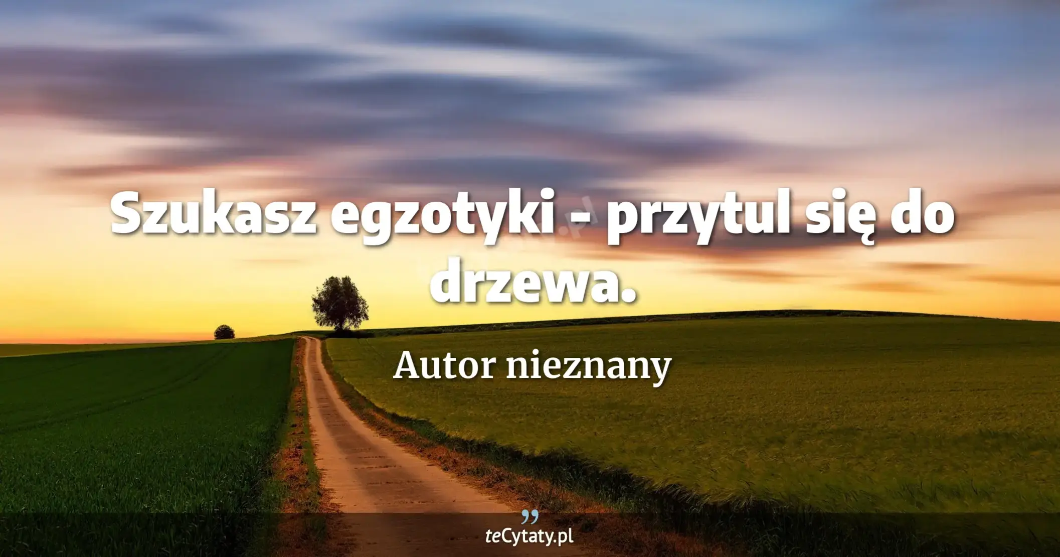 Szukasz egzotyki - przytul się do drzewa. - Autor nieznany