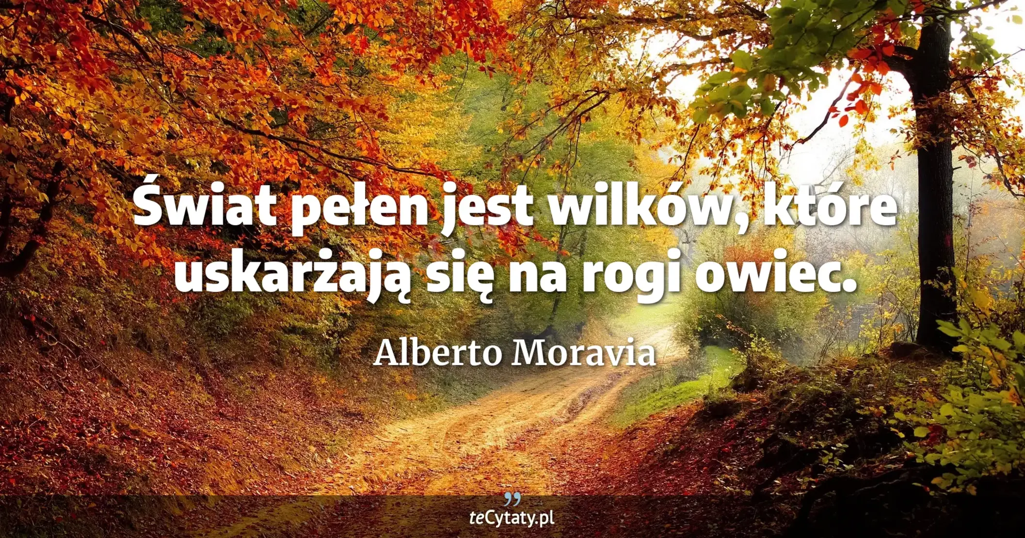 Świat pełen jest wilków, które uskarżają się na rogi owiec. - Alberto Moravia