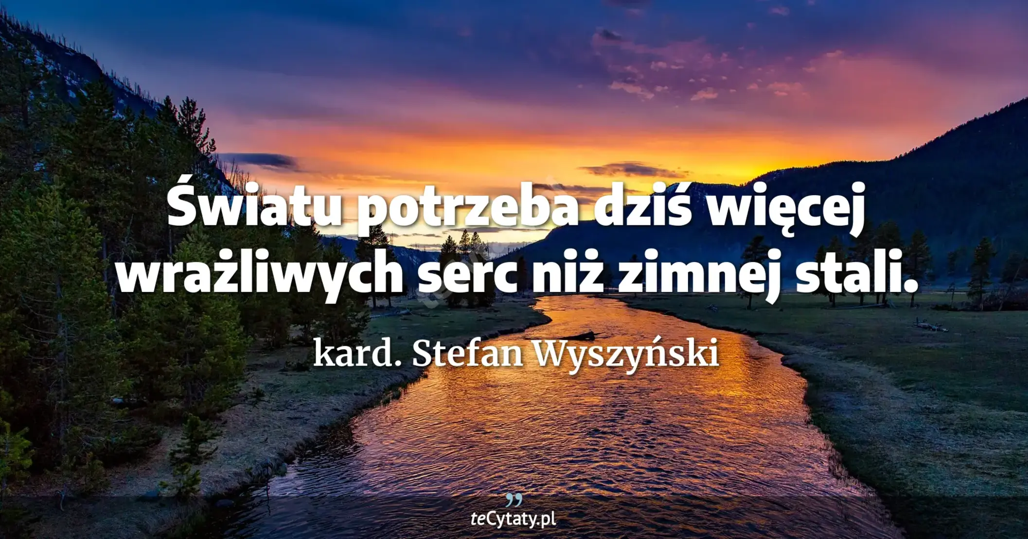 Światu potrzeba dziś więcej wrażliwych serc niż zimnej stali. - kard. Stefan Wyszyński