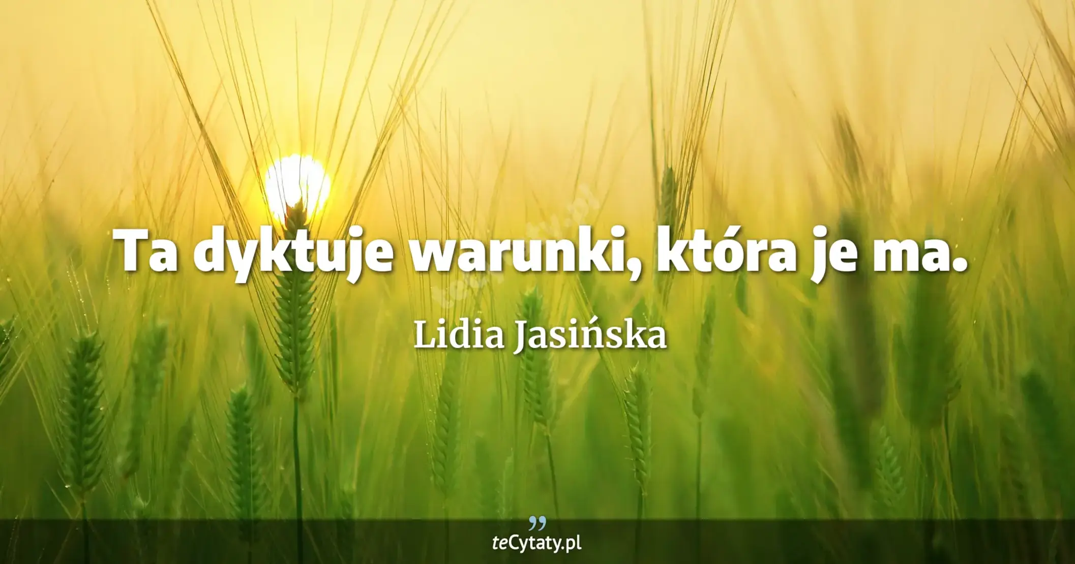 Ta dyktuje warunki, która je ma. - Lidia Jasińska