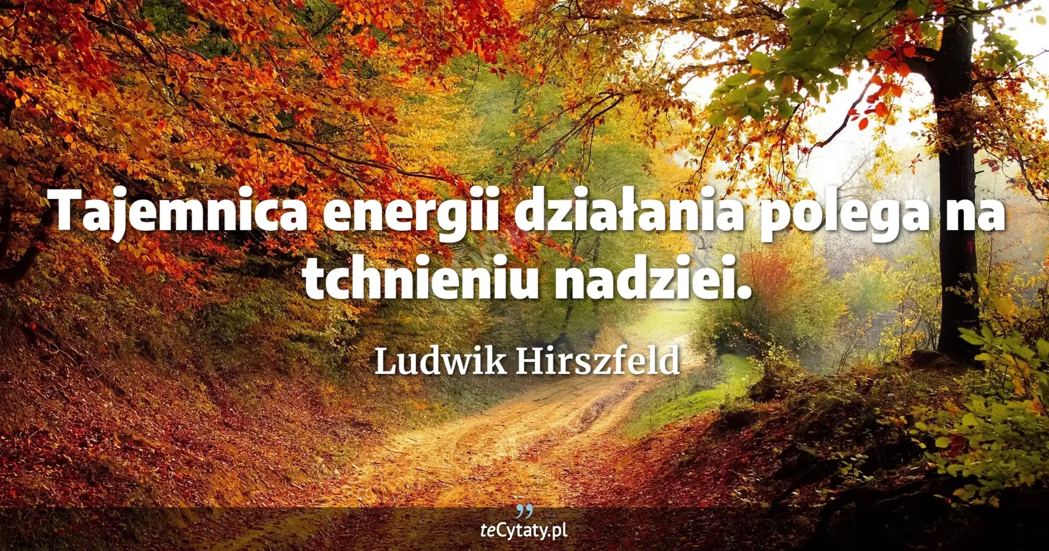 Tajemnica energii działania polega na tchnieniu nadziei. - Ludwik Hirszfeld