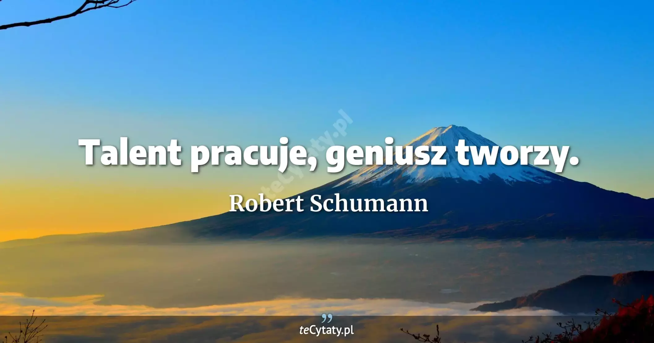 Talent pracuje, geniusz tworzy. - Robert Schumann
