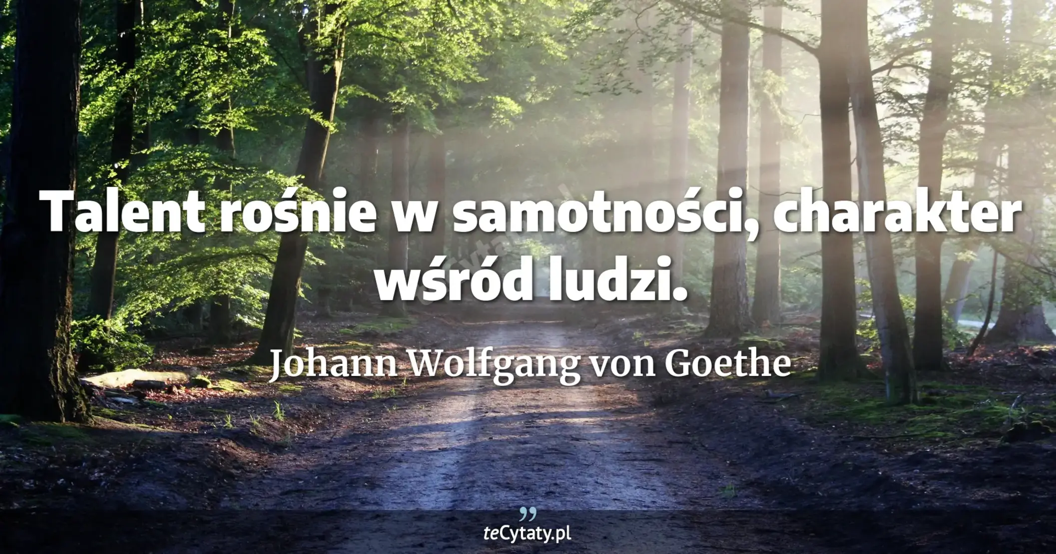 Talent rośnie w samotności, charakter wśród ludzi. - Johann Wolfgang von Goethe