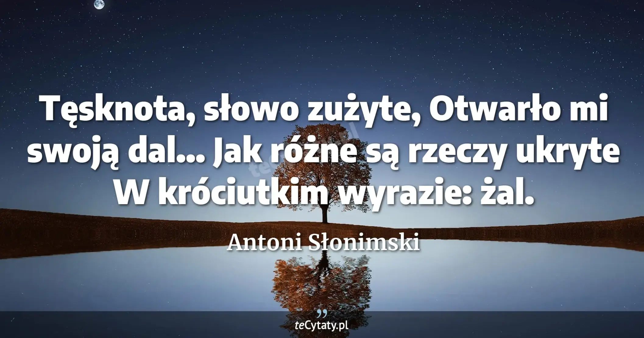 Tęsknota, słowo zużyte, <br> Otwarło mi swoją dal... <br> Jak różne są rzeczy ukryte <br> W króciutkim wyrazie: żal. - Antoni Słonimski