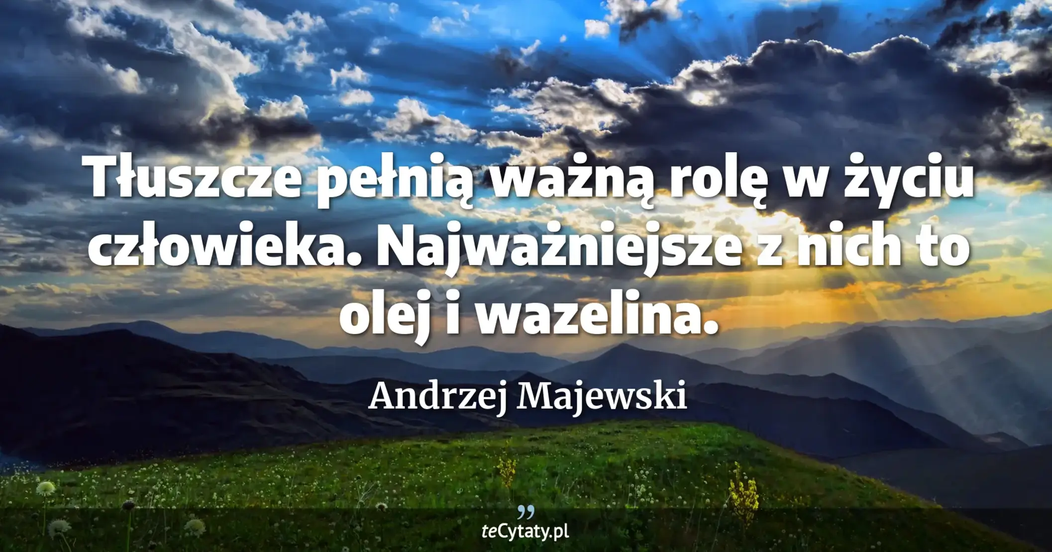 Tłuszcze pełnią ważną rolę w życiu człowieka. Najważniejsze z nich to olej i wazelina. - Andrzej Majewski