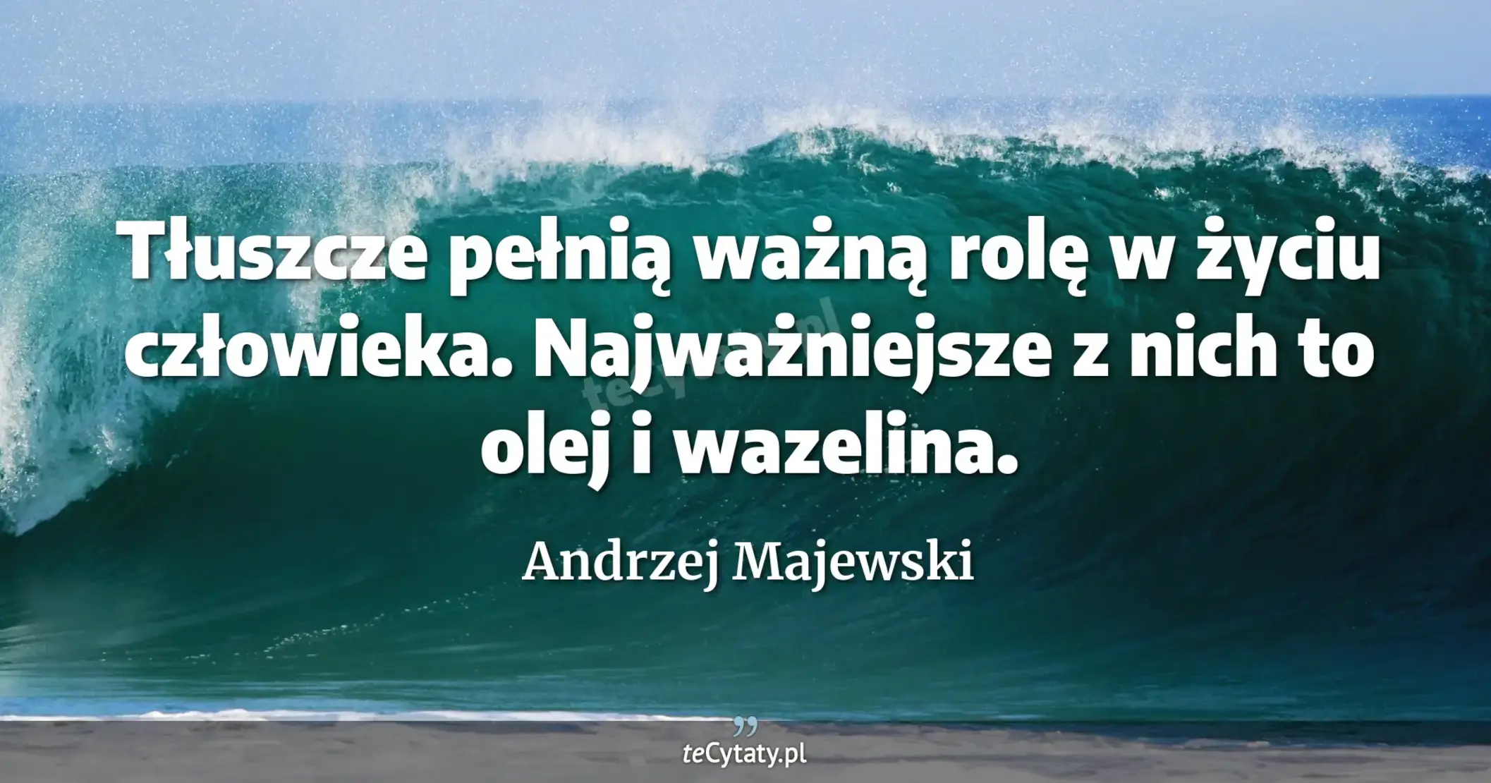 Tłuszcze pełnią ważną rolę w życiu człowieka. Najważniejsze z nich to olej i wazelina. - Andrzej Majewski