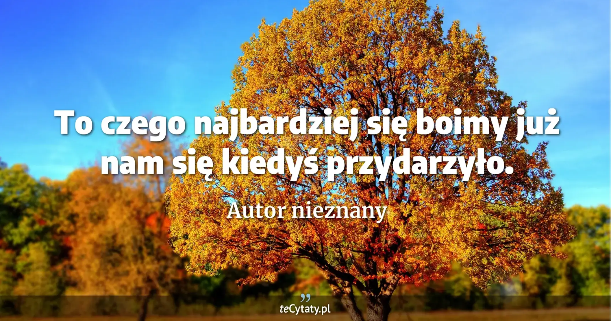 To czego najbardziej się boimy już nam się kiedyś przydarzyło. - Autor nieznany