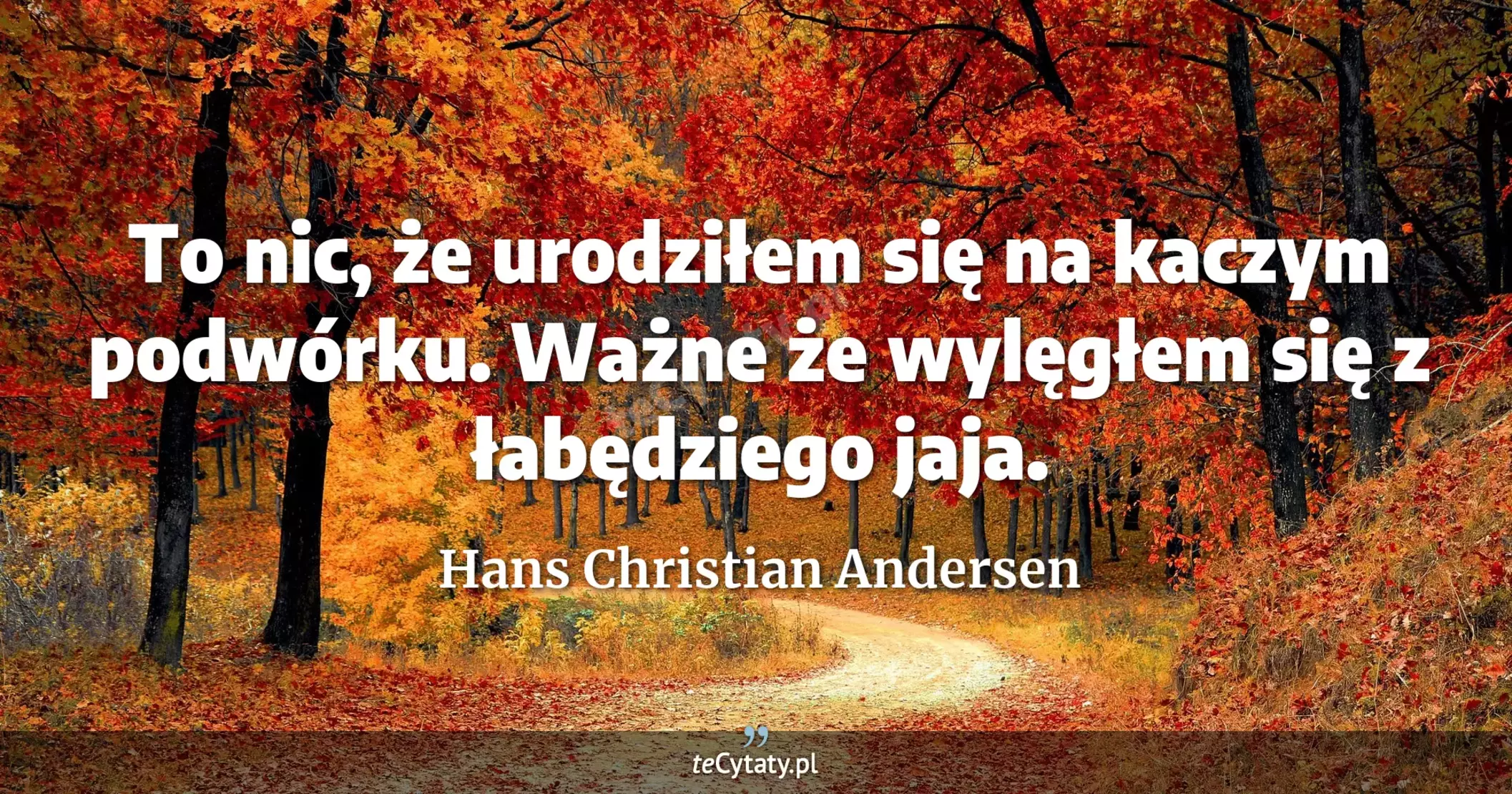 To nic, że urodziłem się na kaczym podwórku. Ważne że wylęgłem się z łabędziego jaja. - Hans Christian Andersen