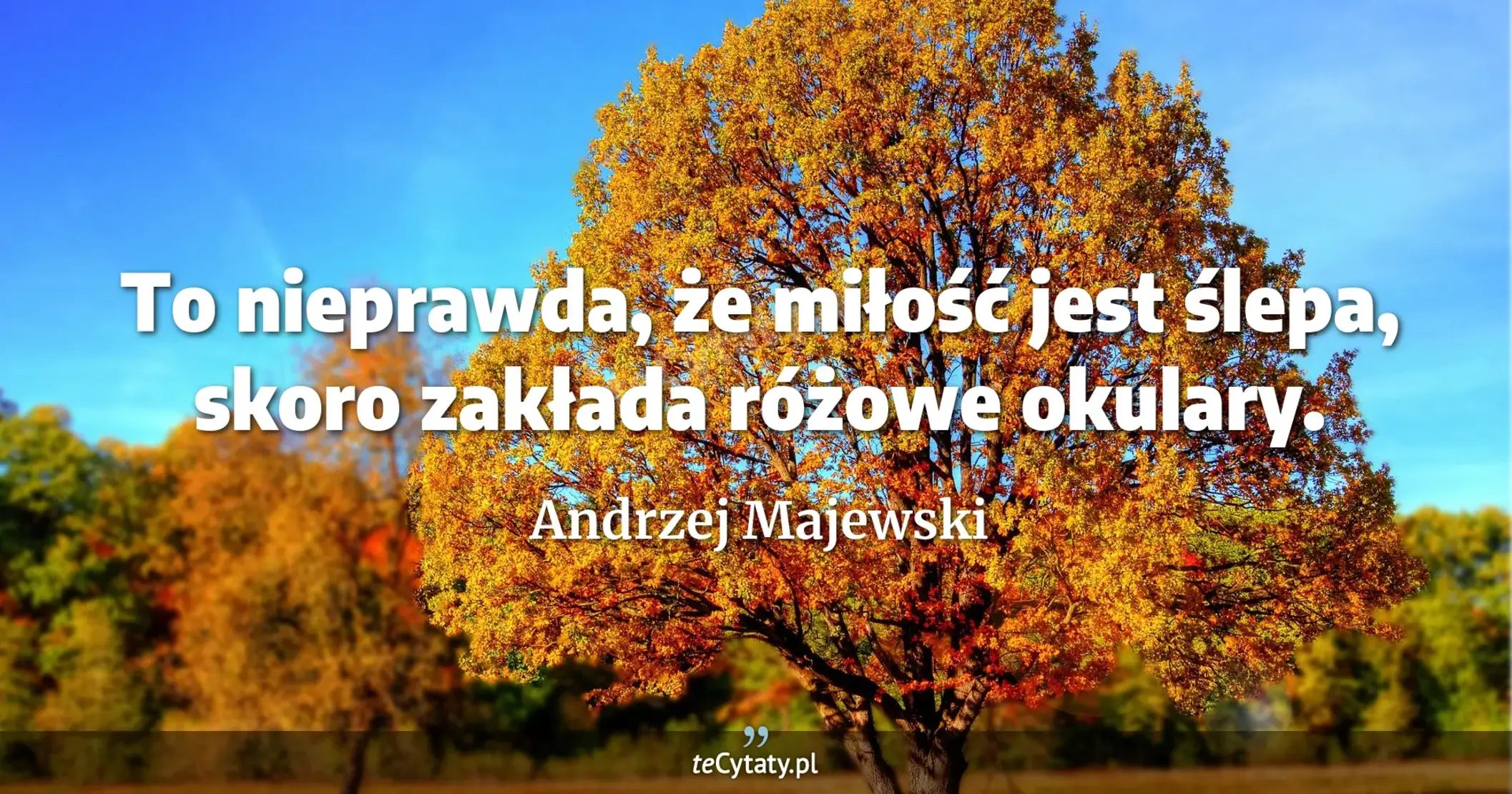 To nieprawda, że miłość jest ślepa, skoro zakłada różowe okulary. - Andrzej Majewski