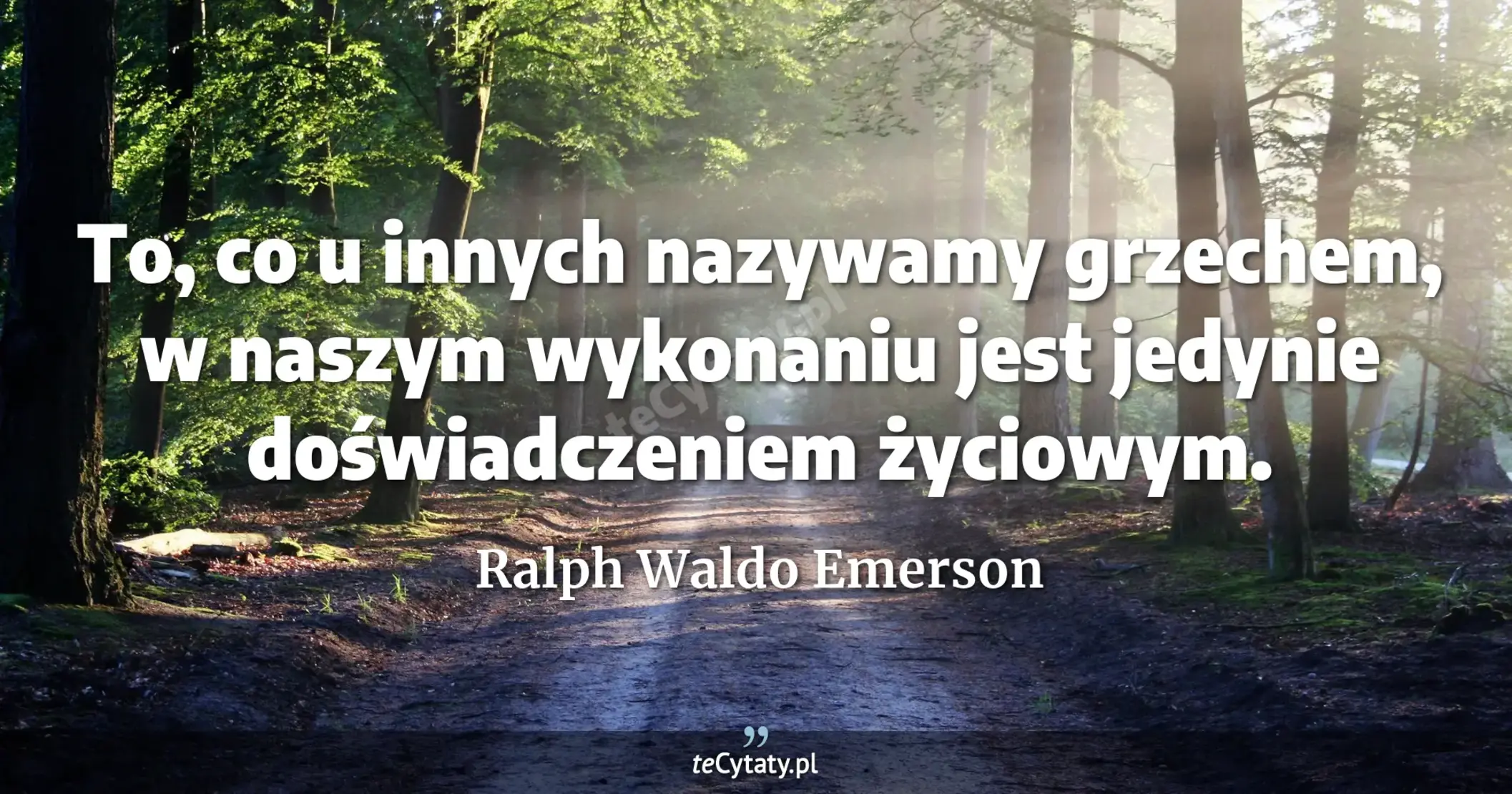 To, co u innych nazywamy grzechem, w naszym wykonaniu jest jedynie doświadczeniem życiowym. - Ralph Waldo Emerson