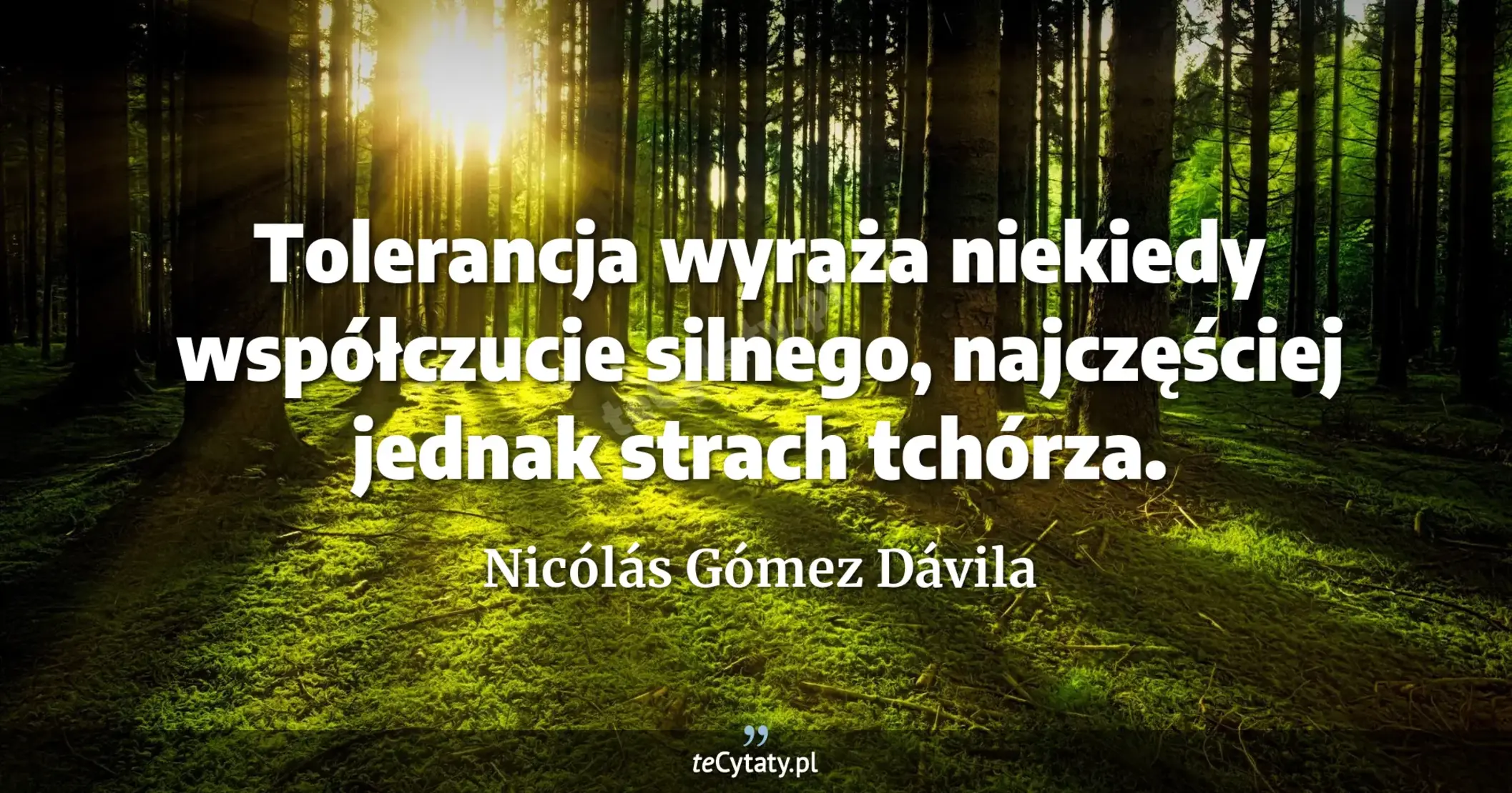Tolerancja wyraża niekiedy współczucie silnego, najczęściej jednak strach tchórza. - Nicólás Gómez Dávila