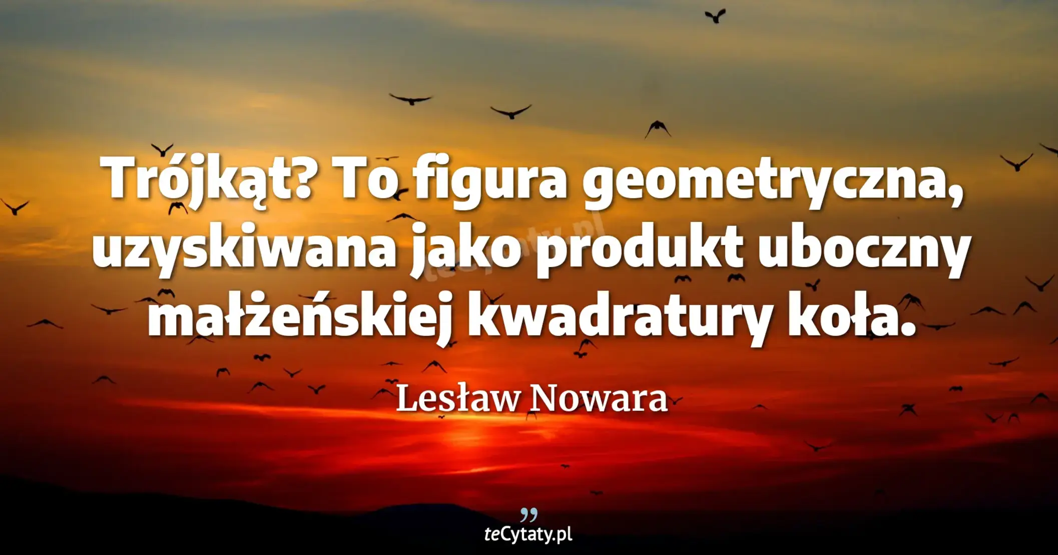 Trójkąt? To figura geometryczna, uzyskiwana jako produkt uboczny małżeńskiej kwadratury koła. - Lesław Nowara