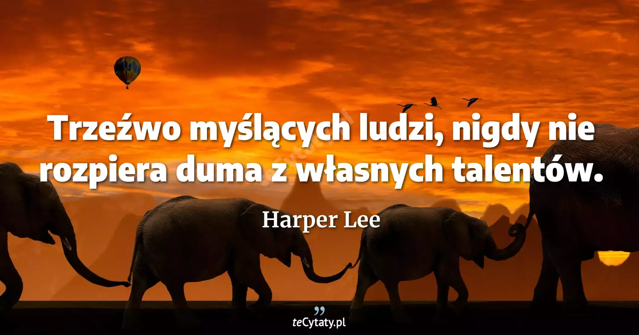 Trzeźwo myślących ludzi, nigdy nie rozpiera duma z własnych talentów. - Harper Lee