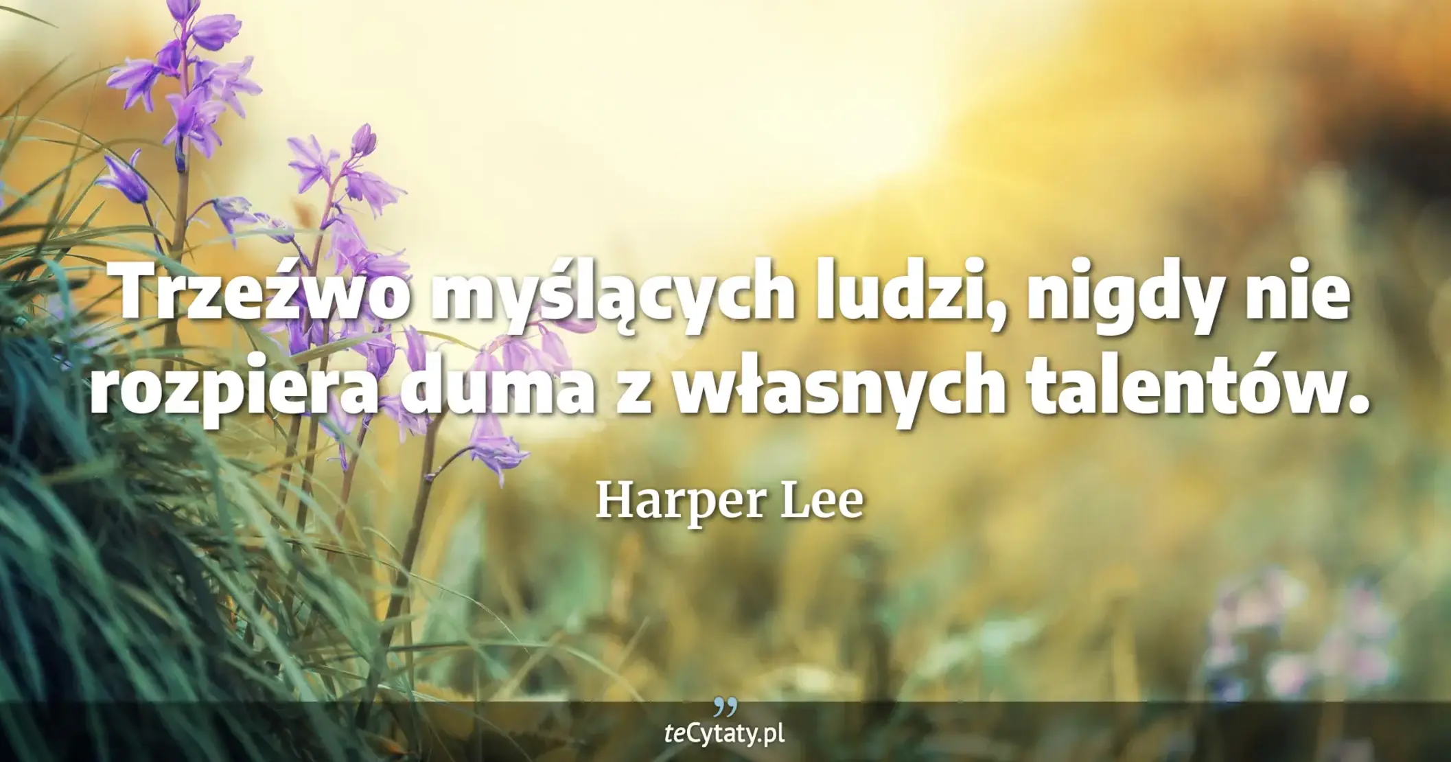 Trzeźwo myślących ludzi, nigdy nie rozpiera duma z własnych talentów. - Harper Lee