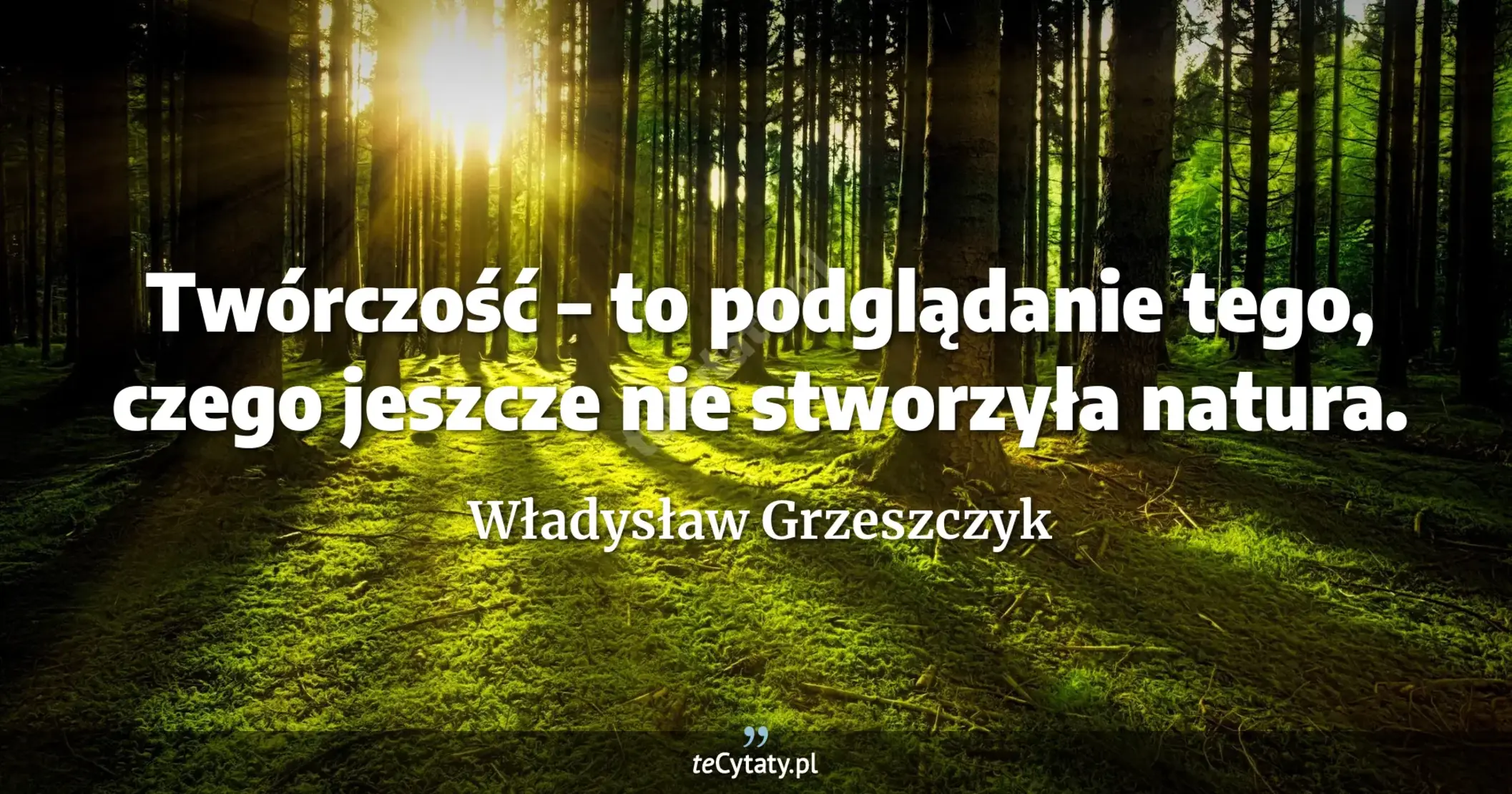 Twórczość – to podglądanie tego, czego jeszcze nie stworzyła natura. - Władysław Grzeszczyk