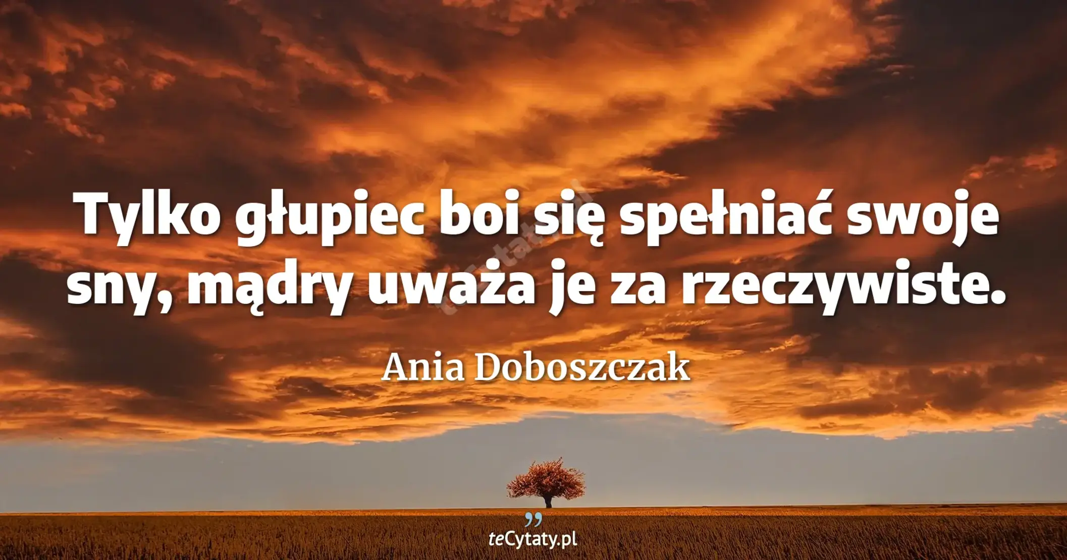 Tylko głupiec boi się spełniać swoje sny, mądry uważa je za rzeczywiste. - Ania Doboszczak