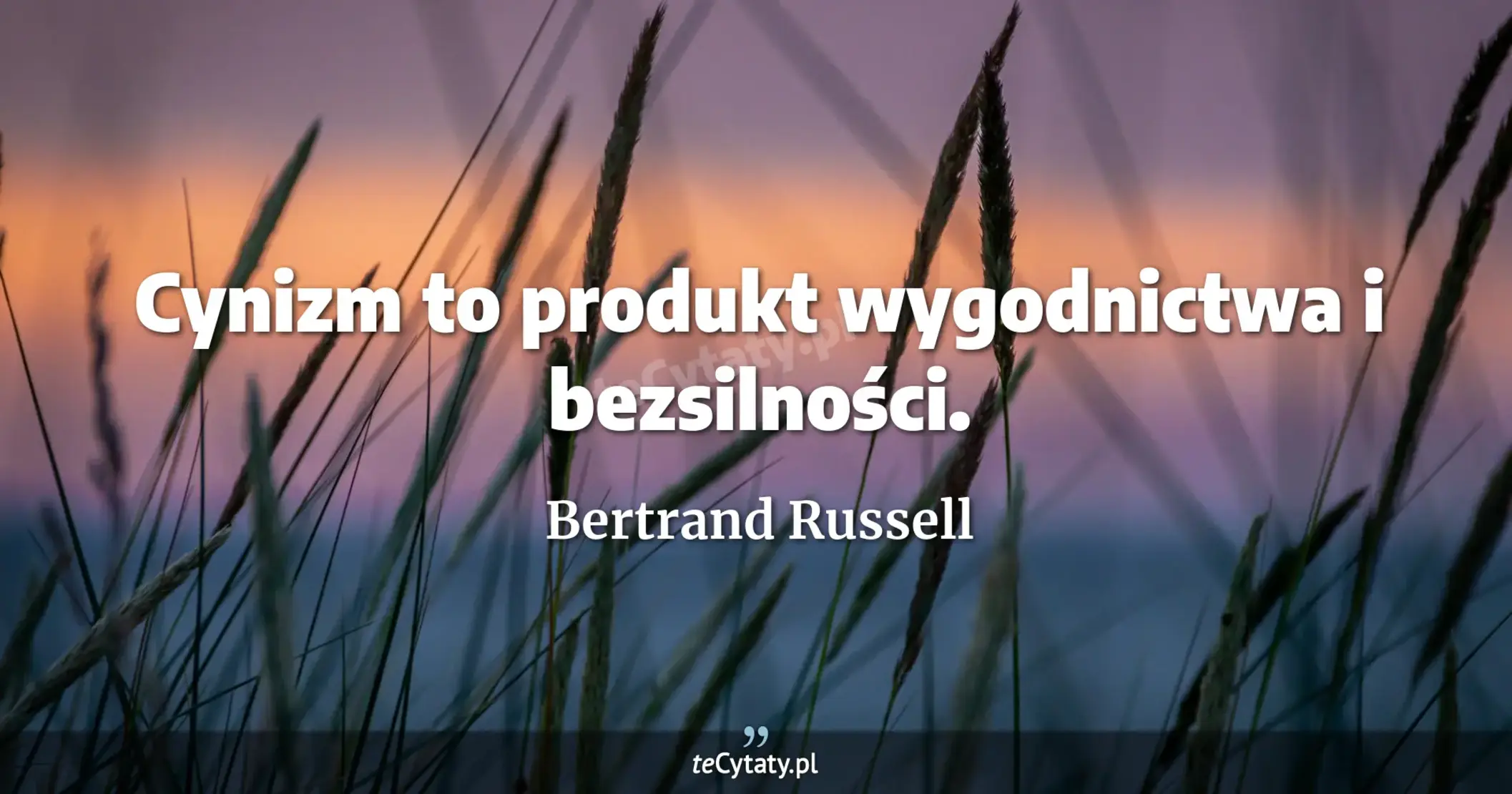 Cynizm to produkt wygodnictwa i bezsilności. - Bertrand Russell