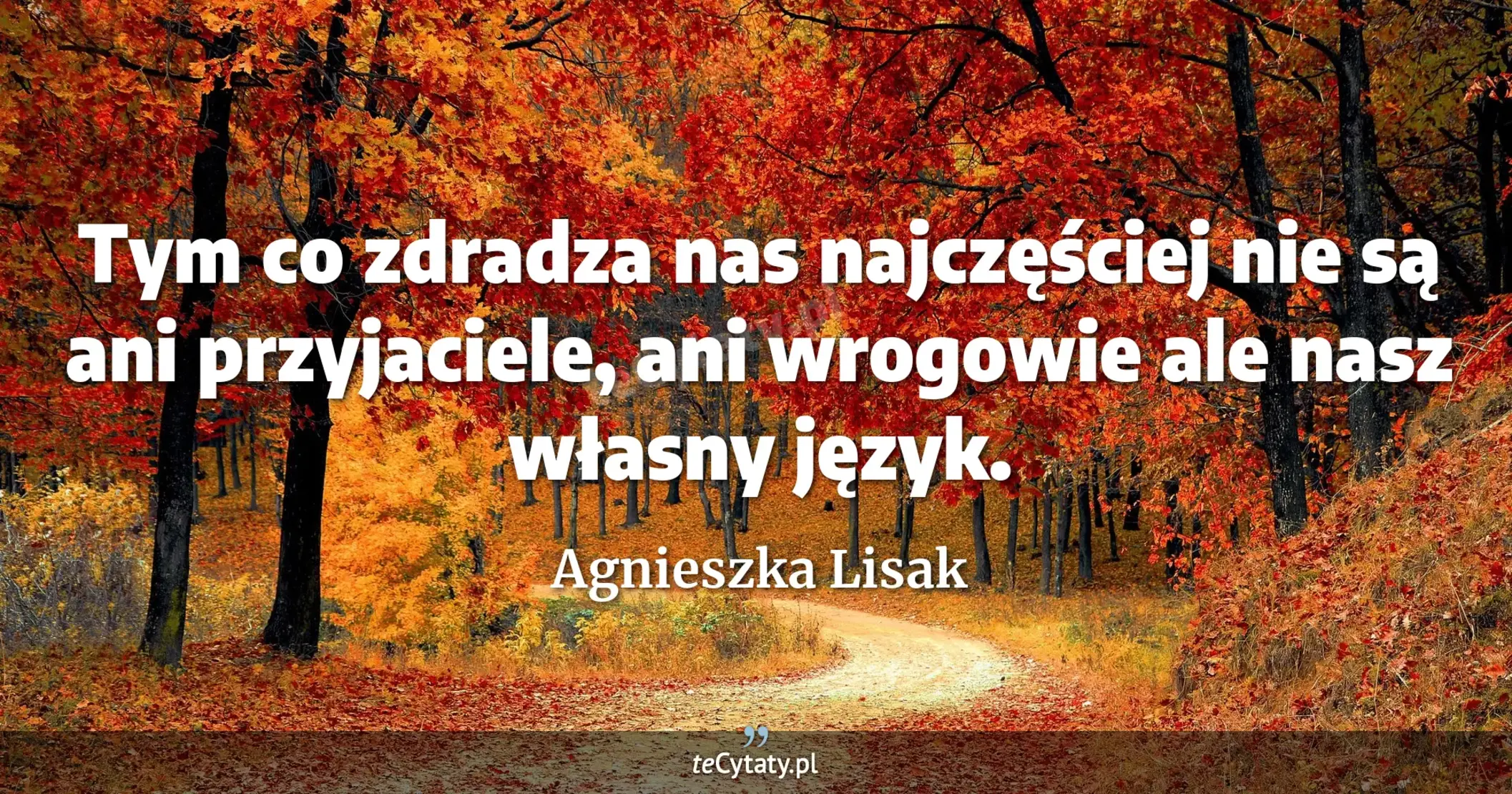 Tym co zdradza nas najczęściej nie są ani przyjaciele, ani wrogowie ale nasz własny język. - Agnieszka Lisak