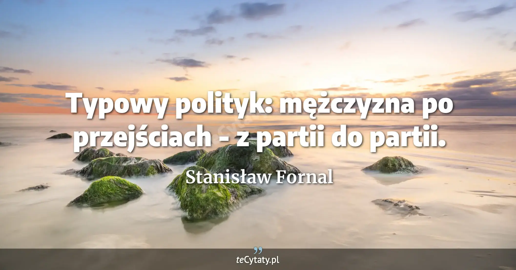 Typowy polityk: mężczyzna po przejściach - z partii do partii. - Stanisław Fornal