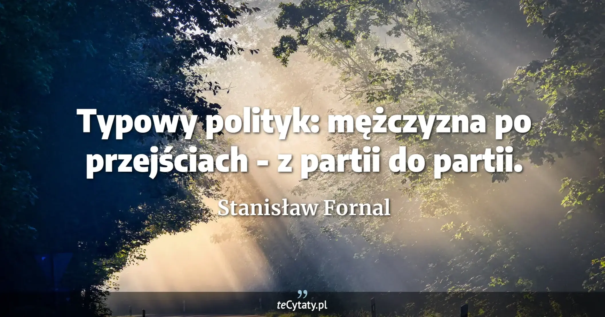 Typowy polityk: mężczyzna po przejściach - z partii do partii. - Stanisław Fornal