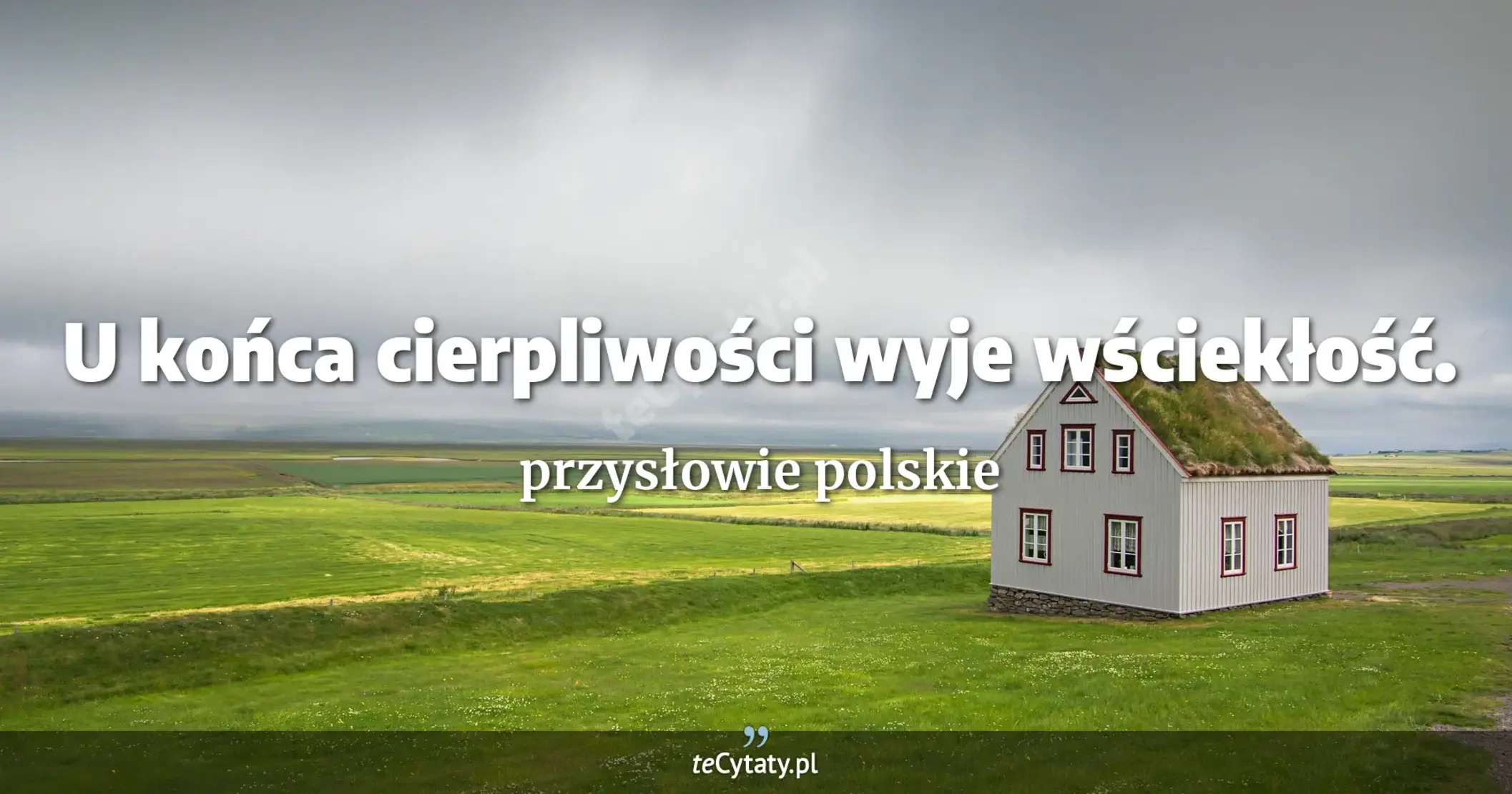 U końca cierpliwości wyje wściekłość. - przysłowie polskie